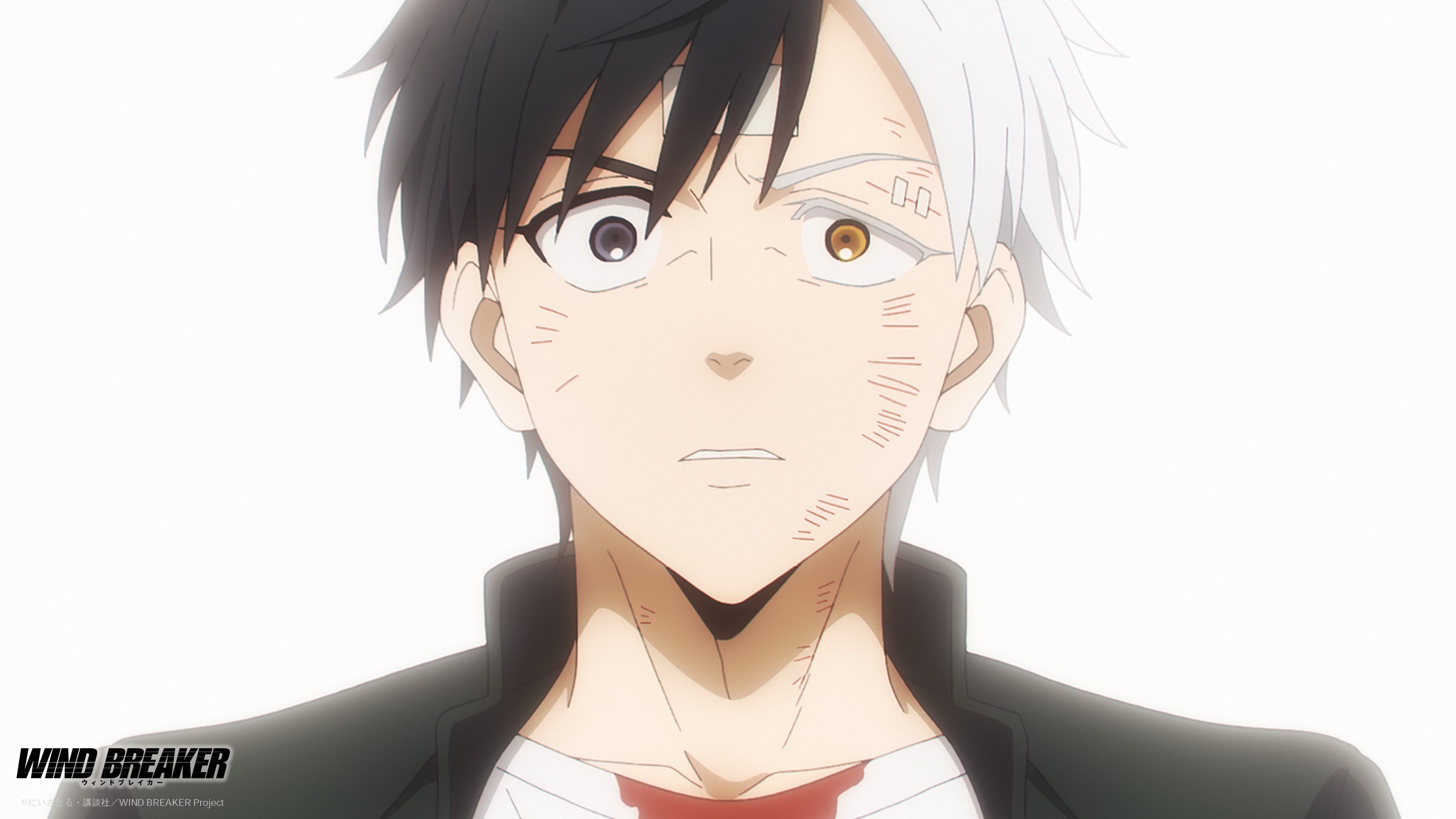 Wind Breaker (TV Series 2024– )