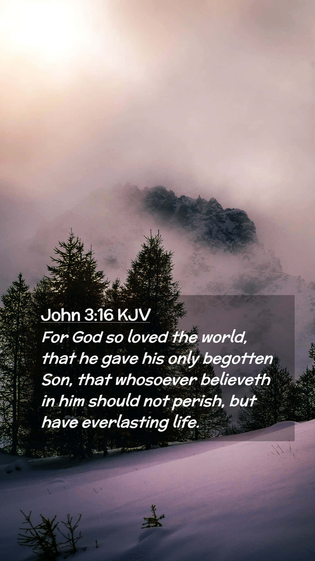 John 3:16 Wallpaper