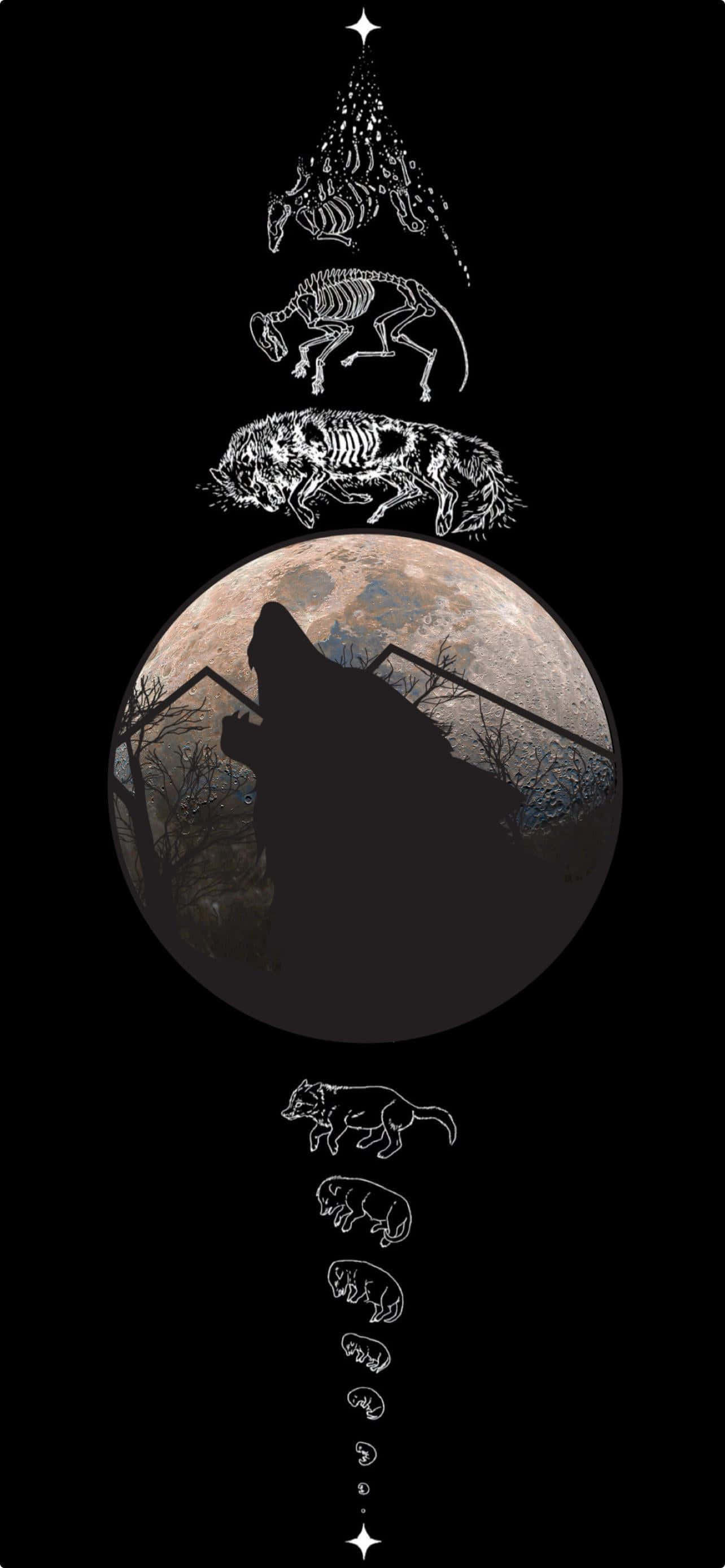 iPhone 14 Plus Wallpaper