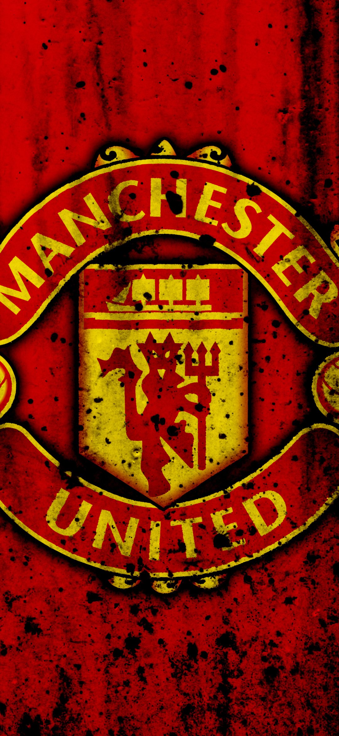 Download Manchester United F.C. Sports