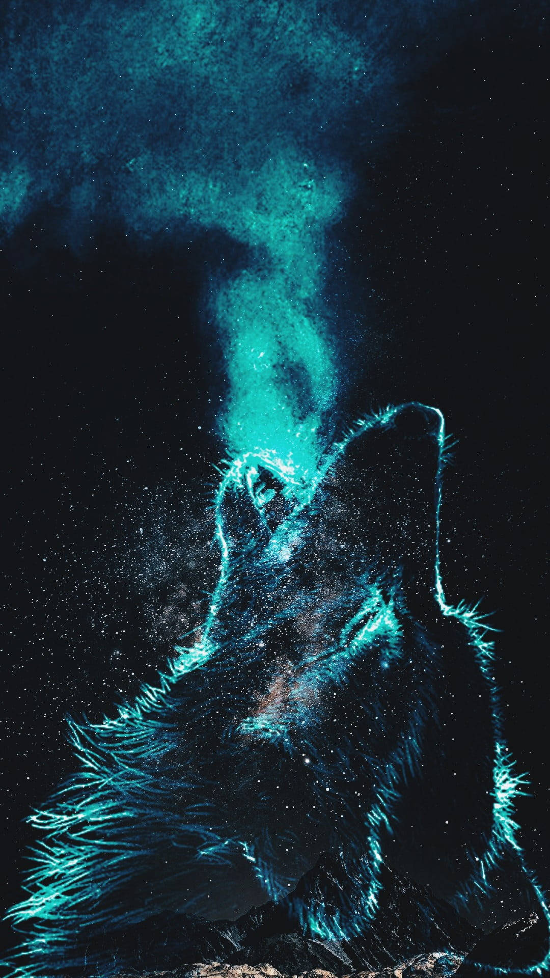Free Wolf HD Wallpaper