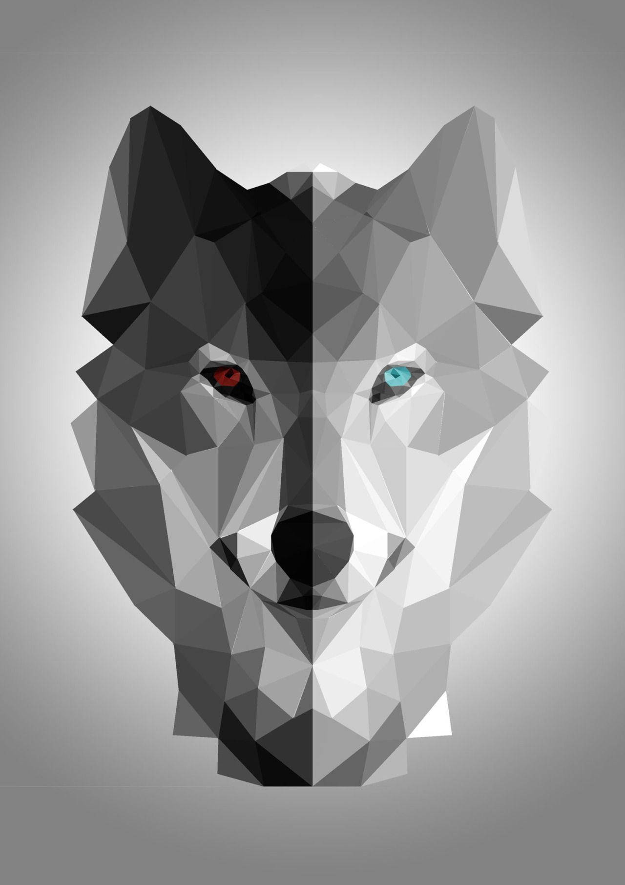 Free Wolf HD Wallpaper