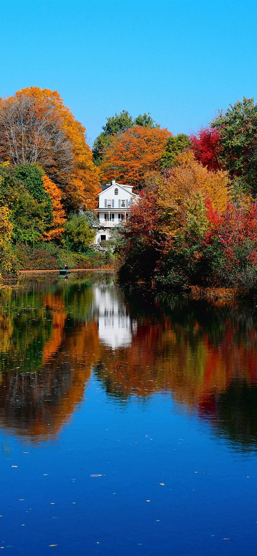 Download Autumn iPhone Lake House In Virginia Wallpaper