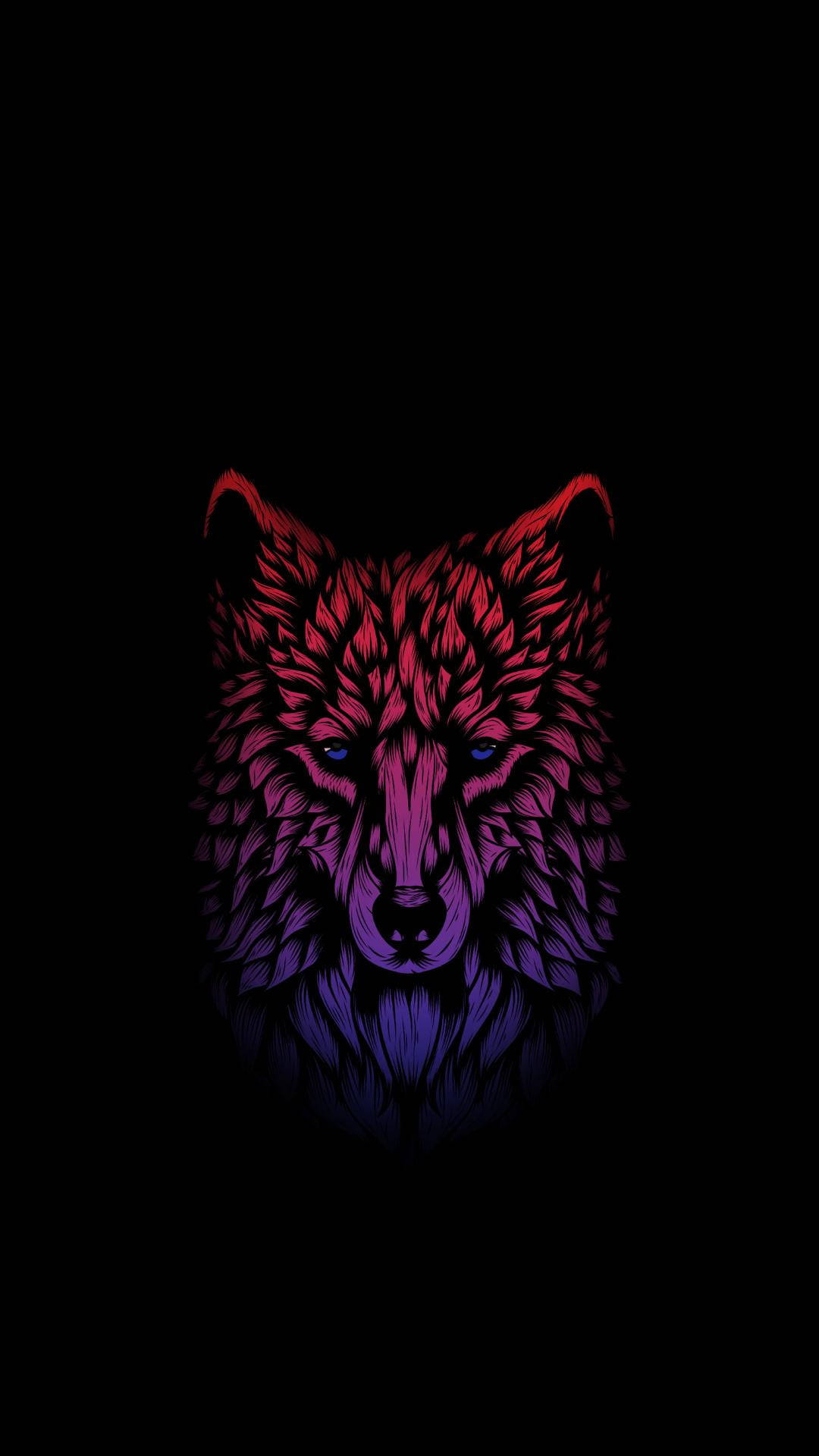 Free Wolf HD Wallpaper