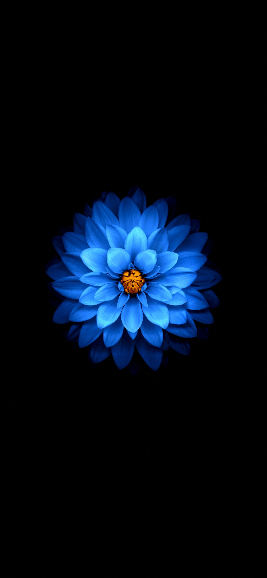 Download wallpaper 1125x2436 blue