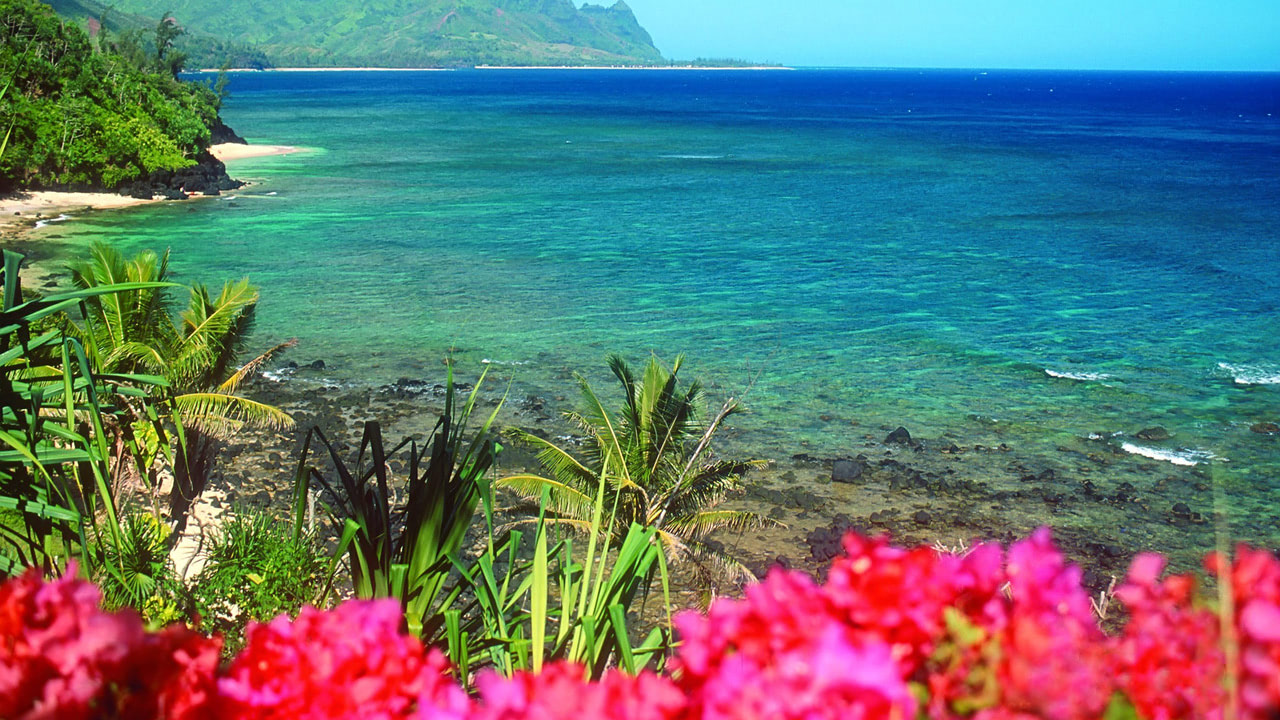 Delightful nature beach Wwallpaper