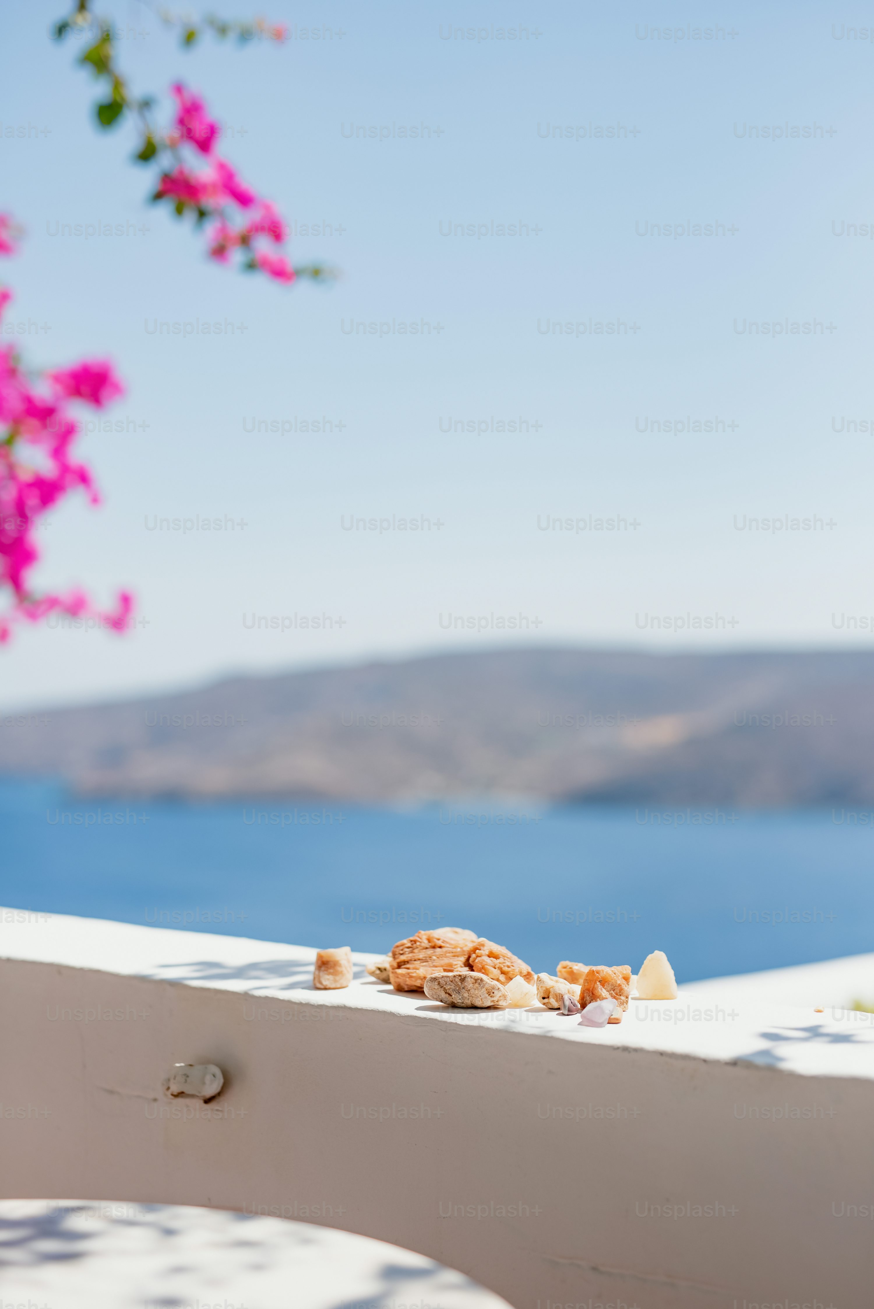 Beach Flower Picture. Download Free