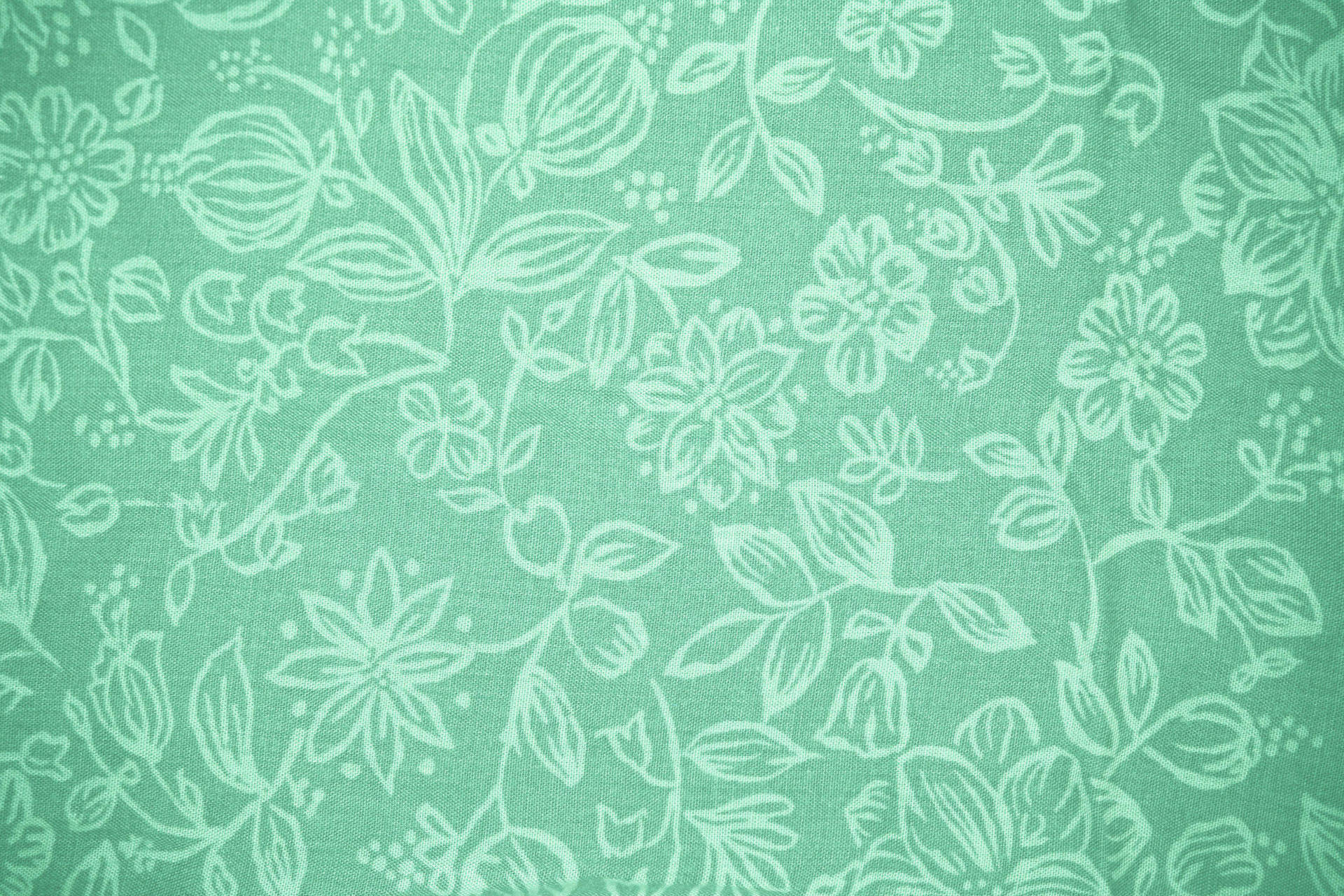 Sage Green Aesthetic Wallpaper