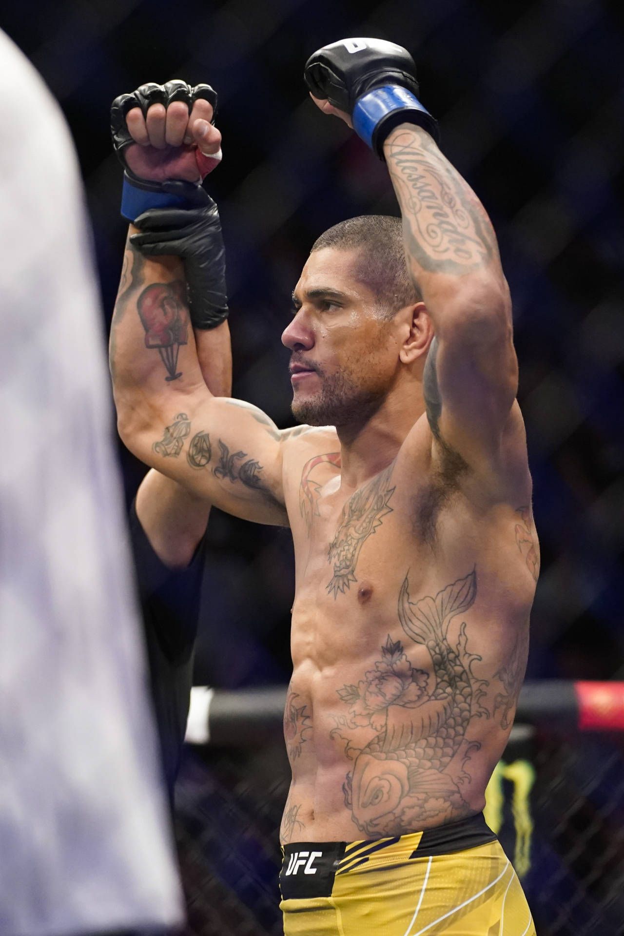 Download Alex Pereira Raising His Fists