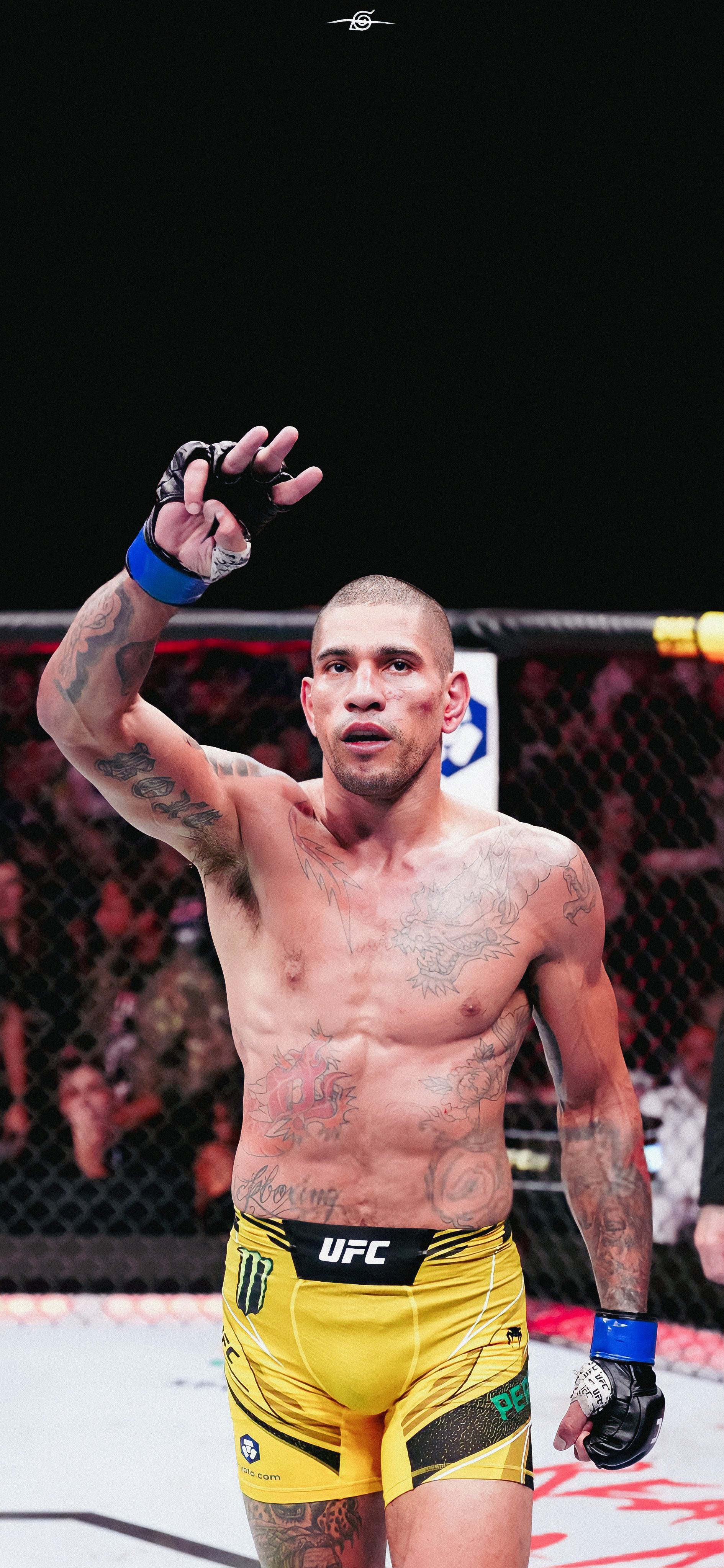 Wallpaper Pereira - #UFC281