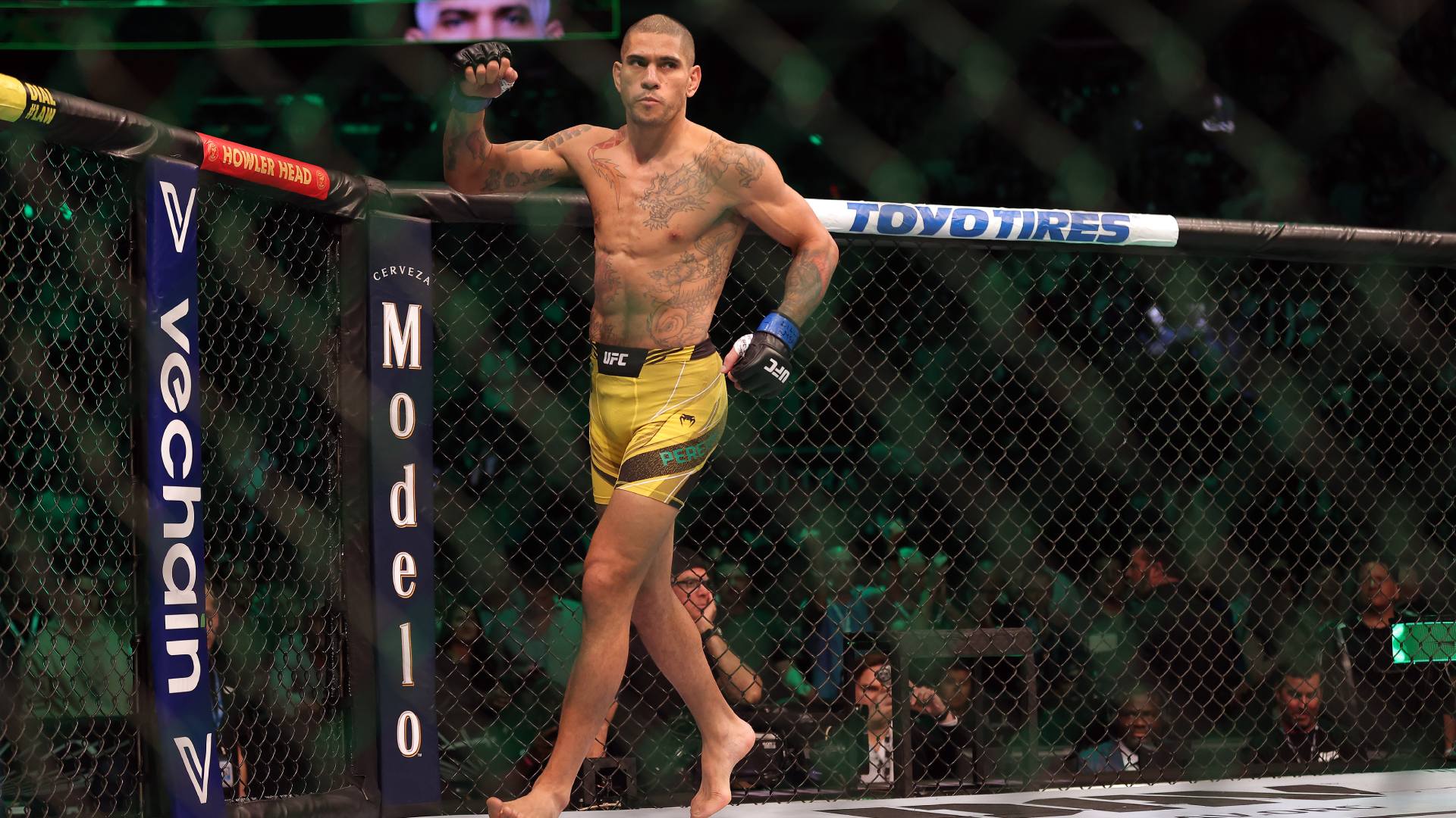 light heavyweight champion at UFC 295
