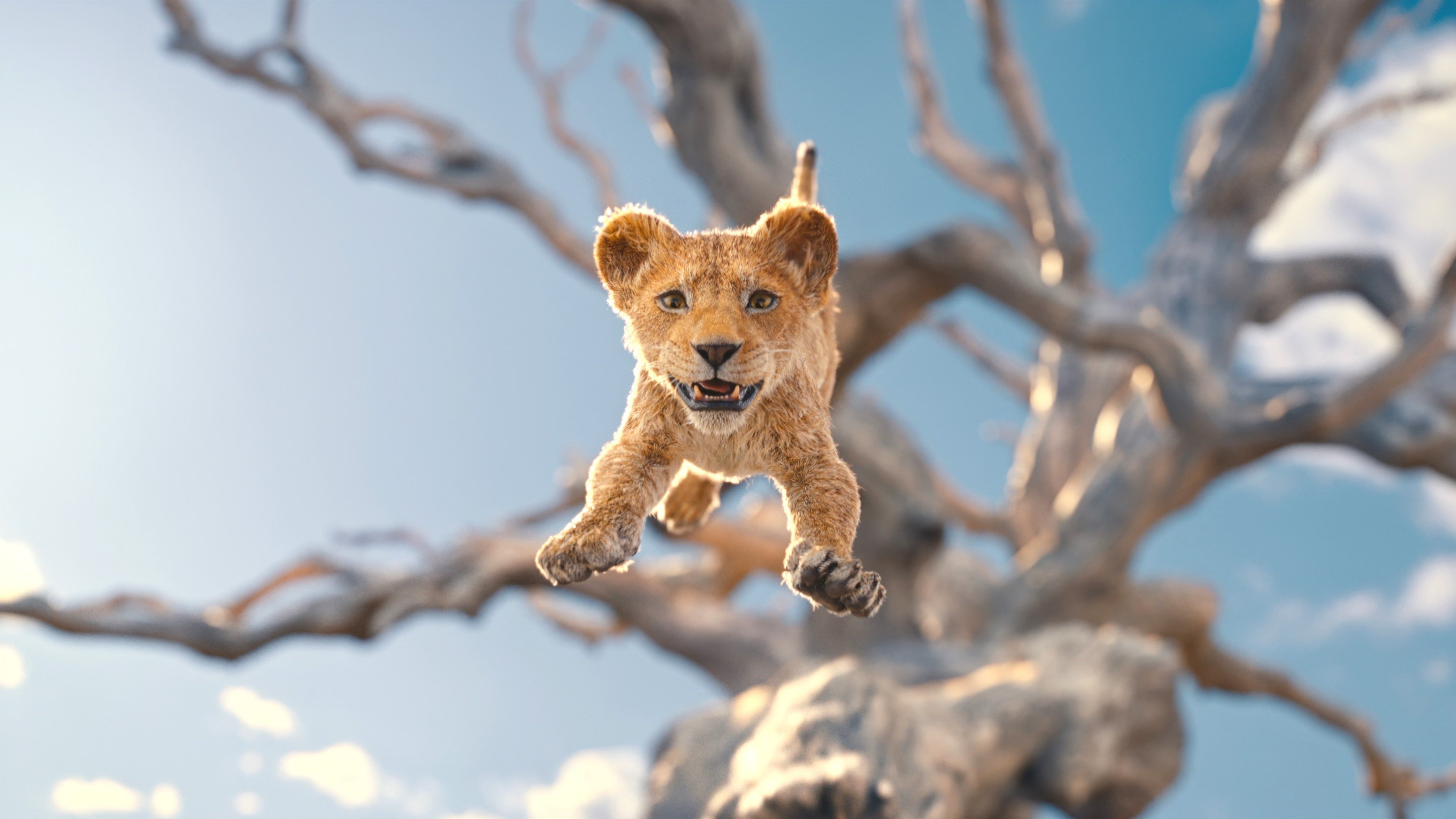 Mufasa The Lion King 2024 Wallpaper, HD
