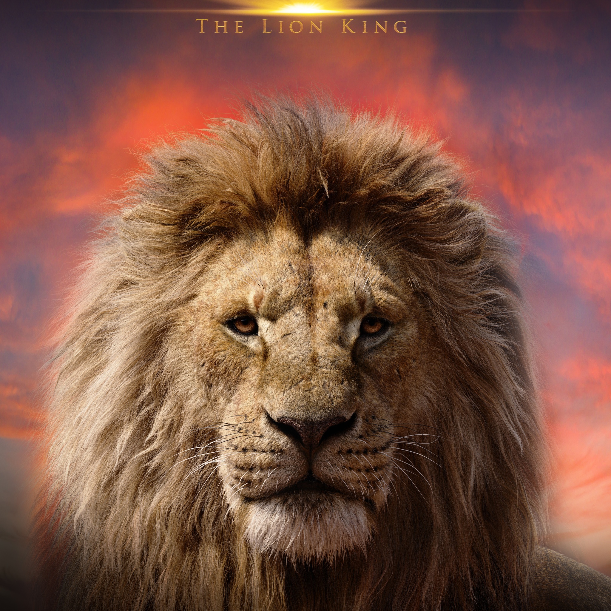 Mufasa: The Lion King 5K Wallpaper