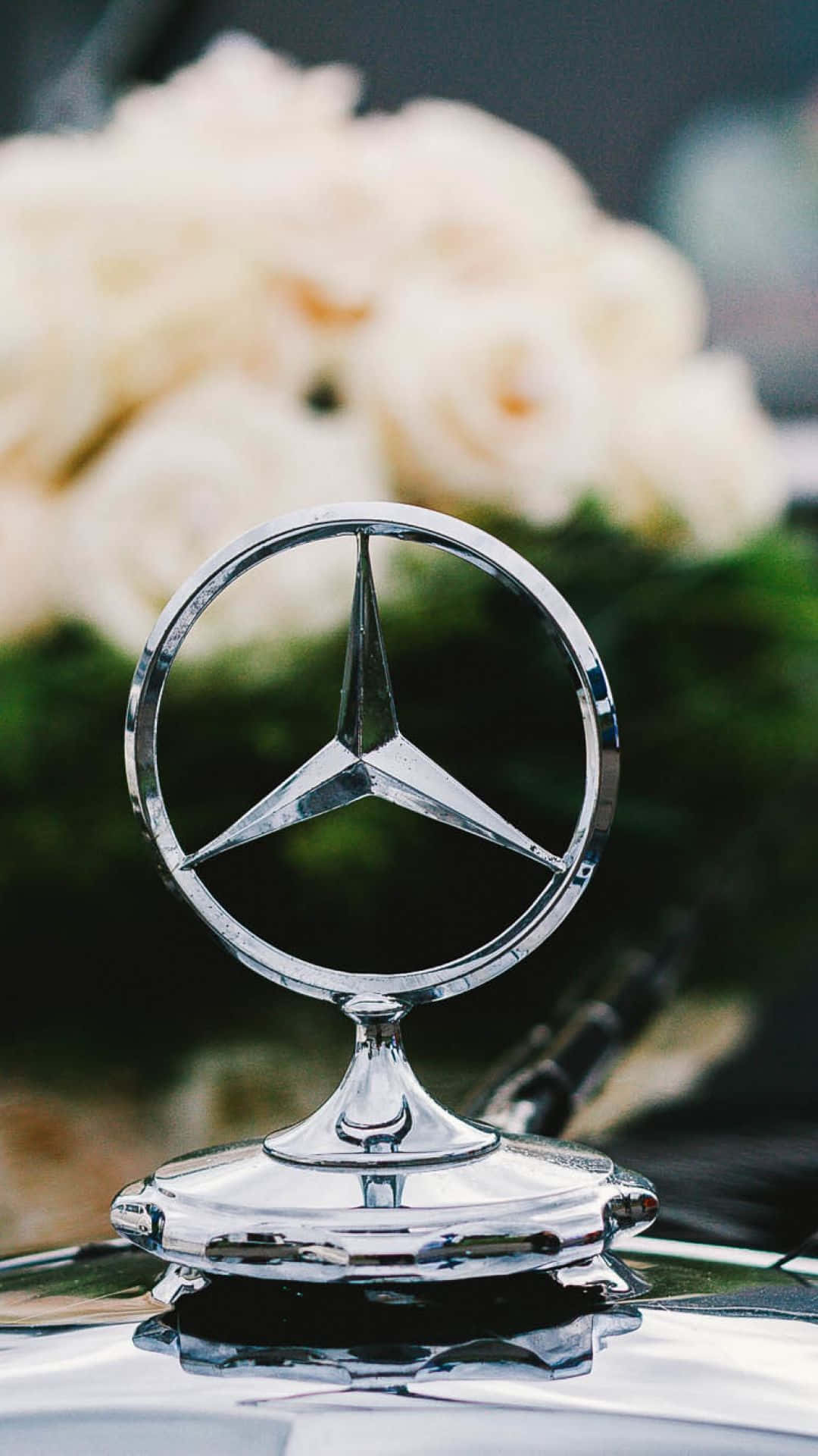 Download Mercedes Silver Logo Classic