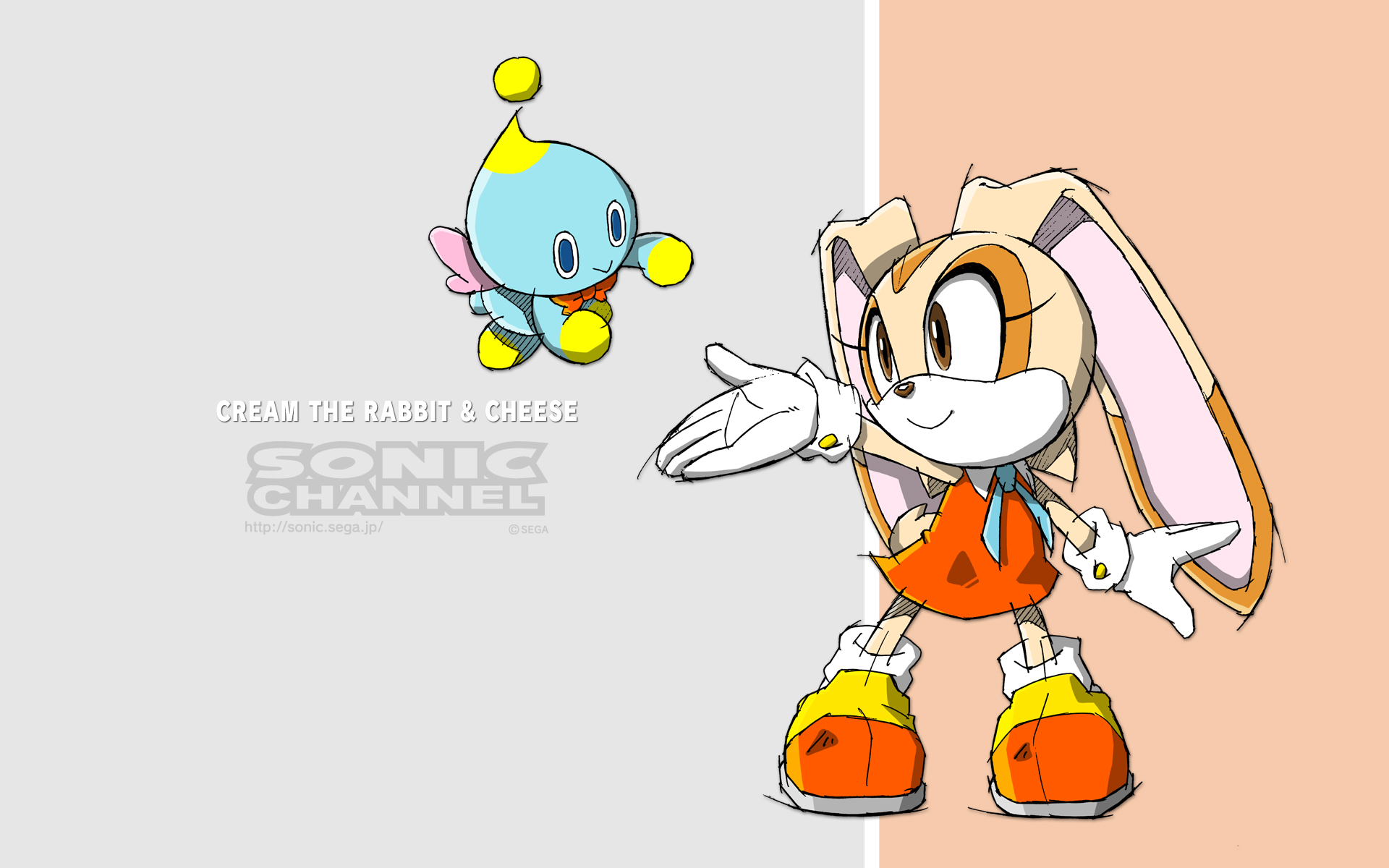 Chao Cream The Rabbit Video Game Sonic
