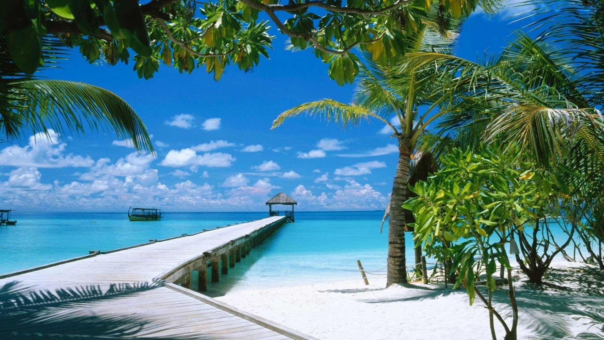 HD Wallpaper