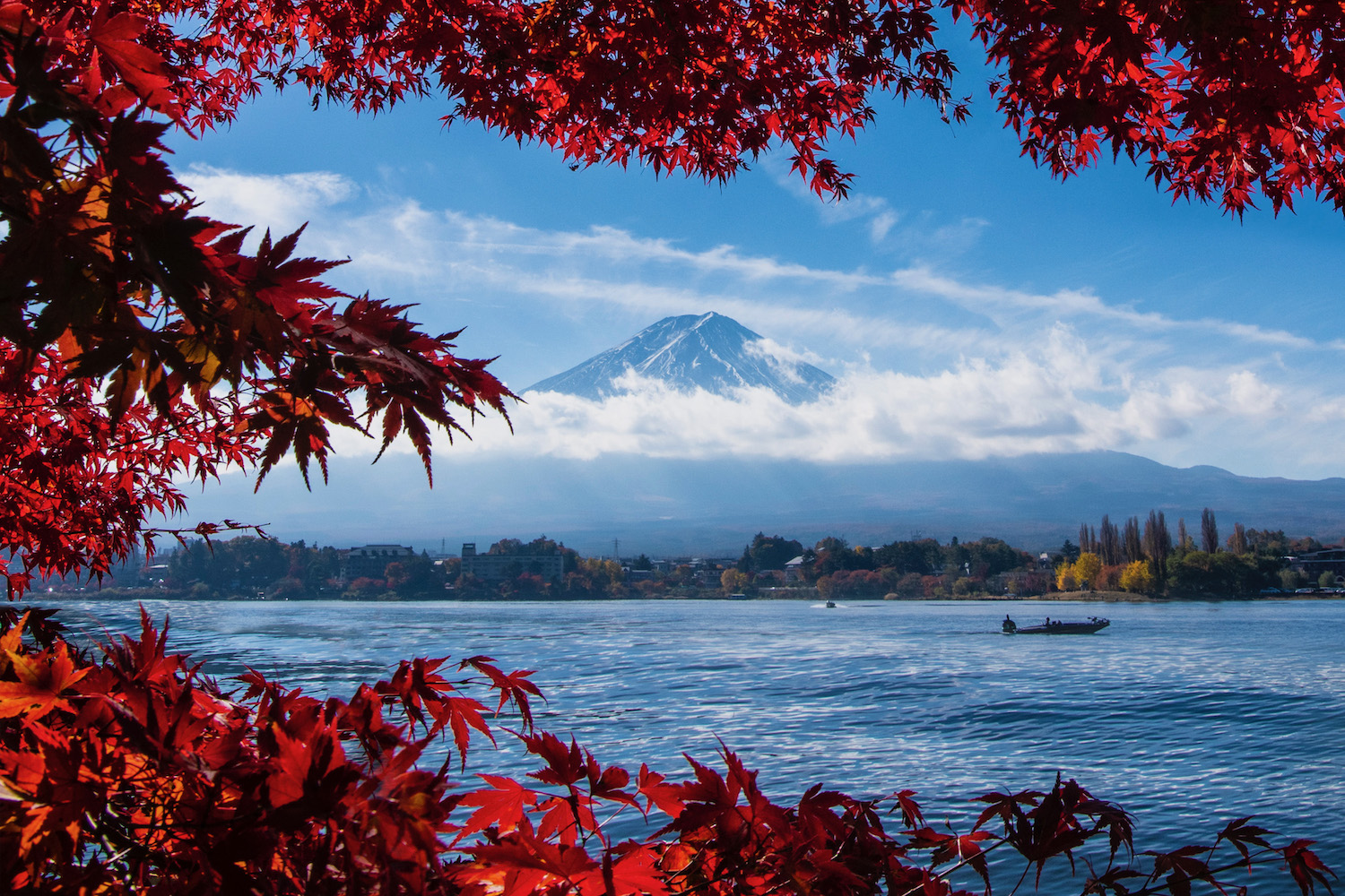 Planning a Japan Fall 2025 Trip? Here's What to Know