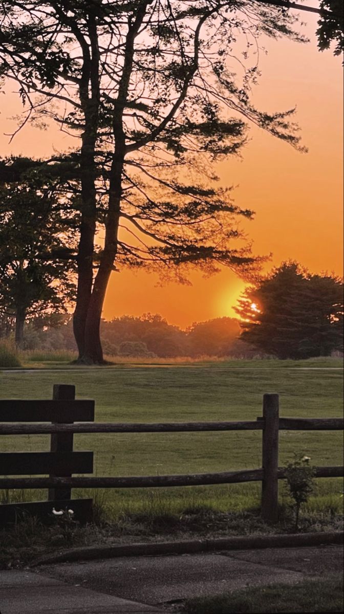 Summer dream ☀️. Country sunset