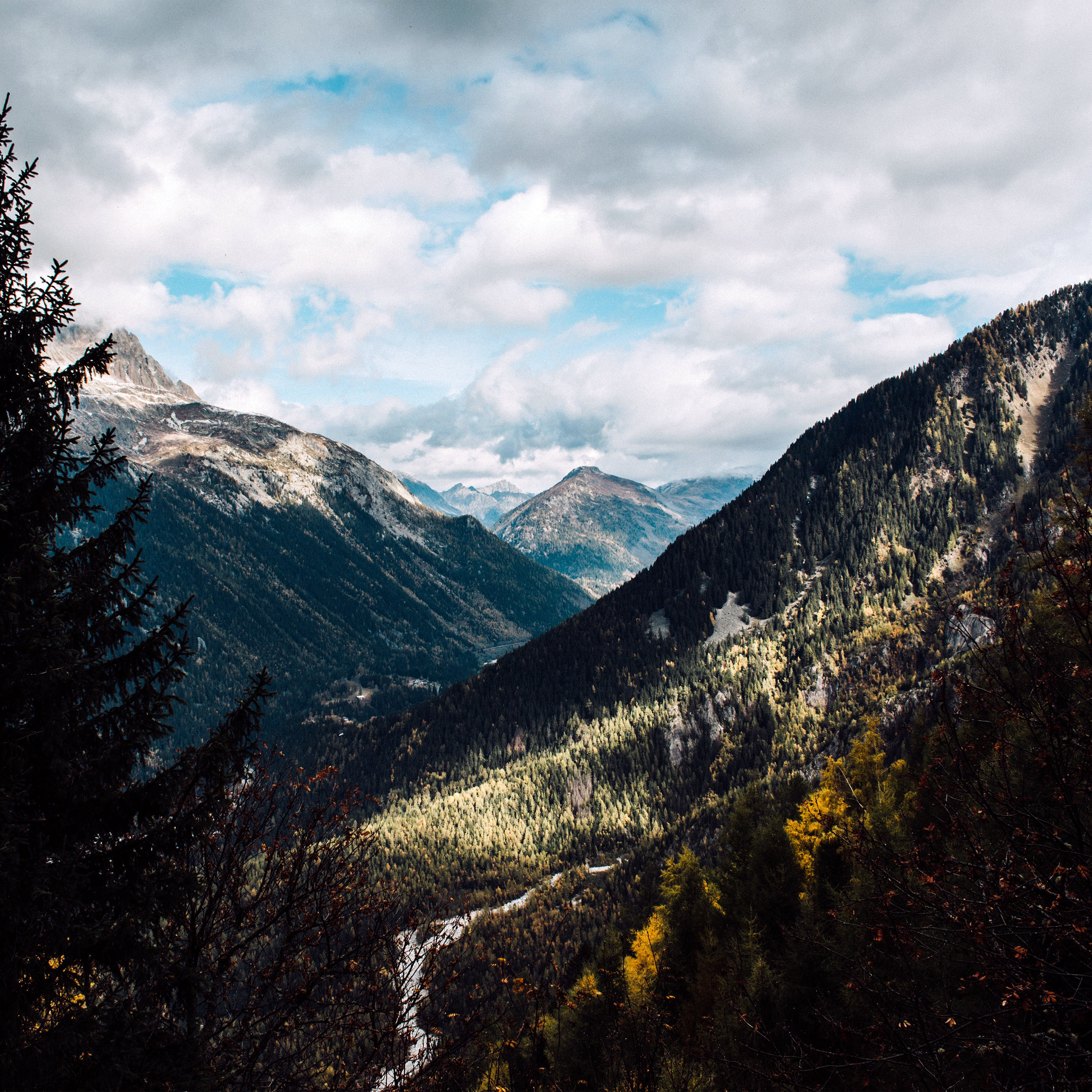 Mountain Forest Summer Wood Nature