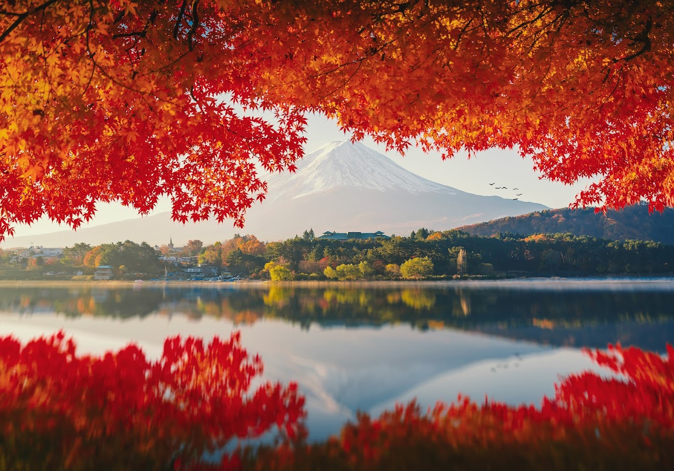 Autumn Travel in Japan: Where to Go, What to Eat, and What to Do?
