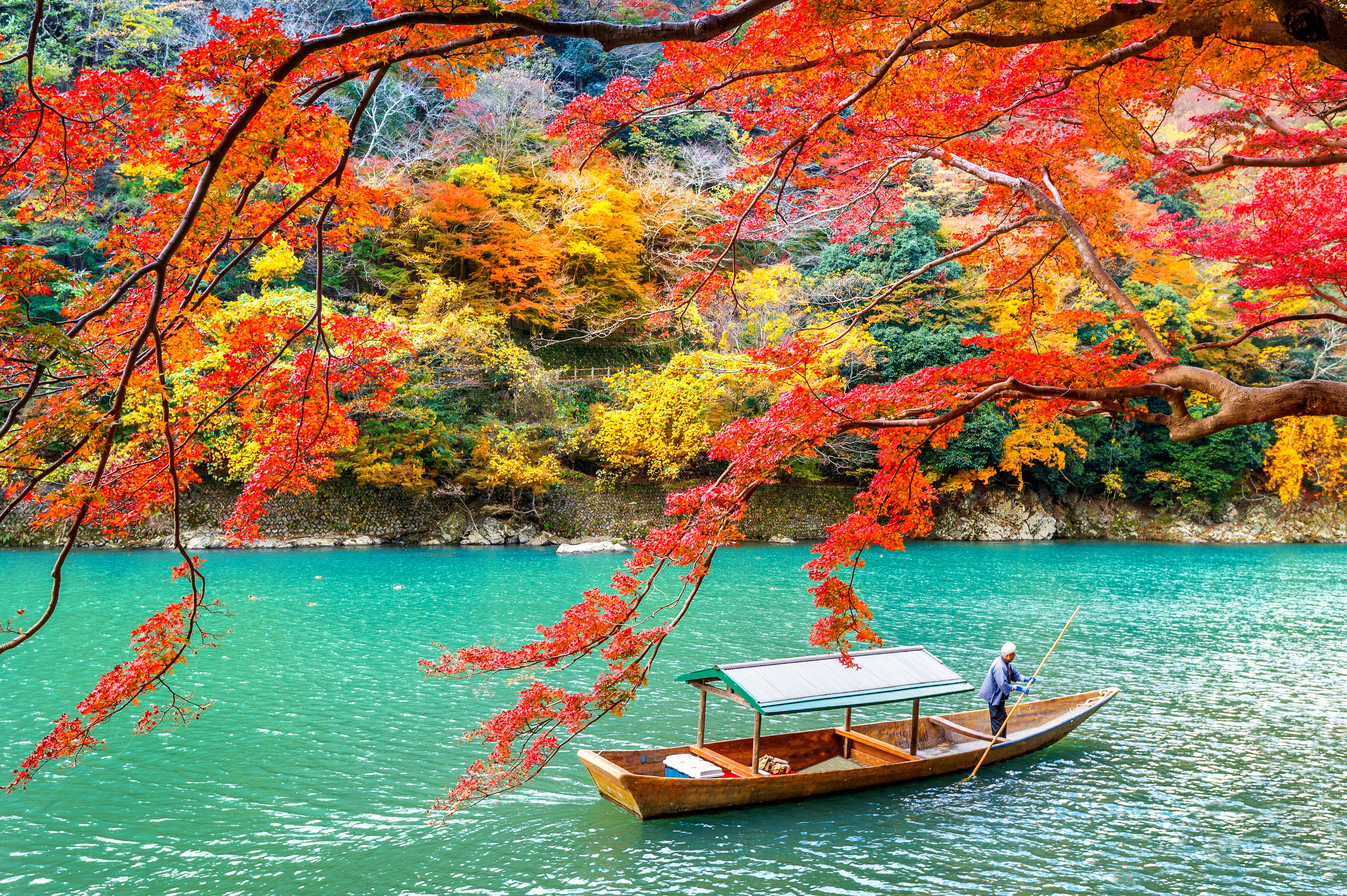 Desktop wallpaper: Japan, Nature, Arashiyama, Photography, Fall, Kyoto, Lake, Park 4K free download for PC. 1002725