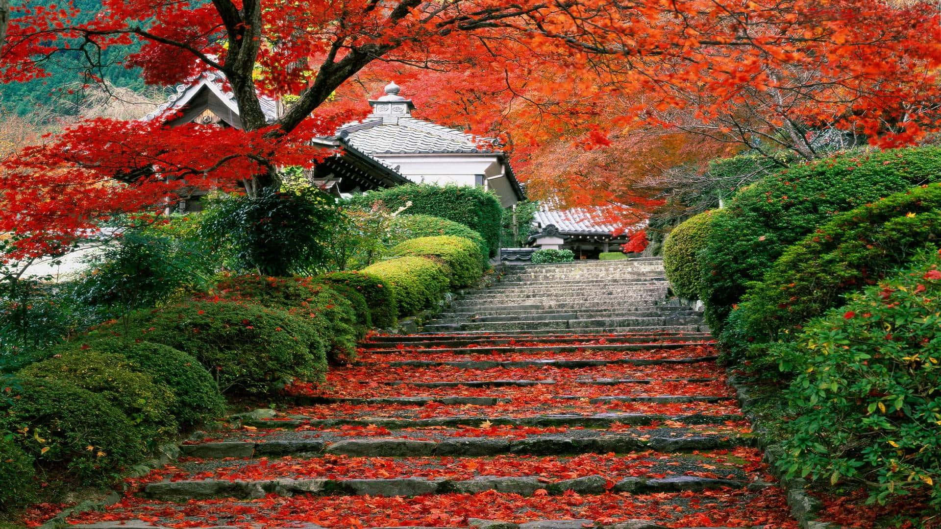 Unique Beauty of Japan Wallpaper