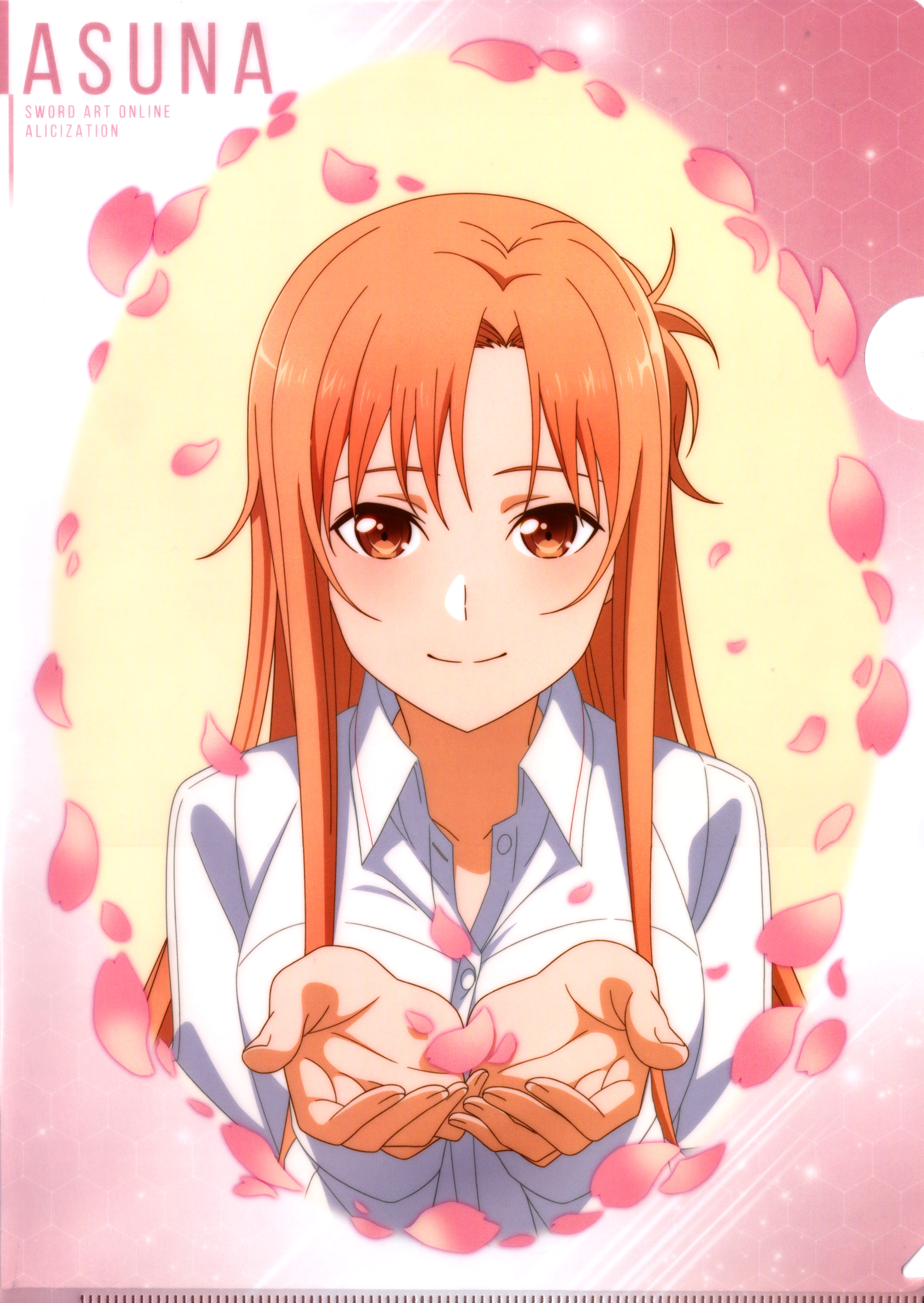 Yuuki Asuna Art Online