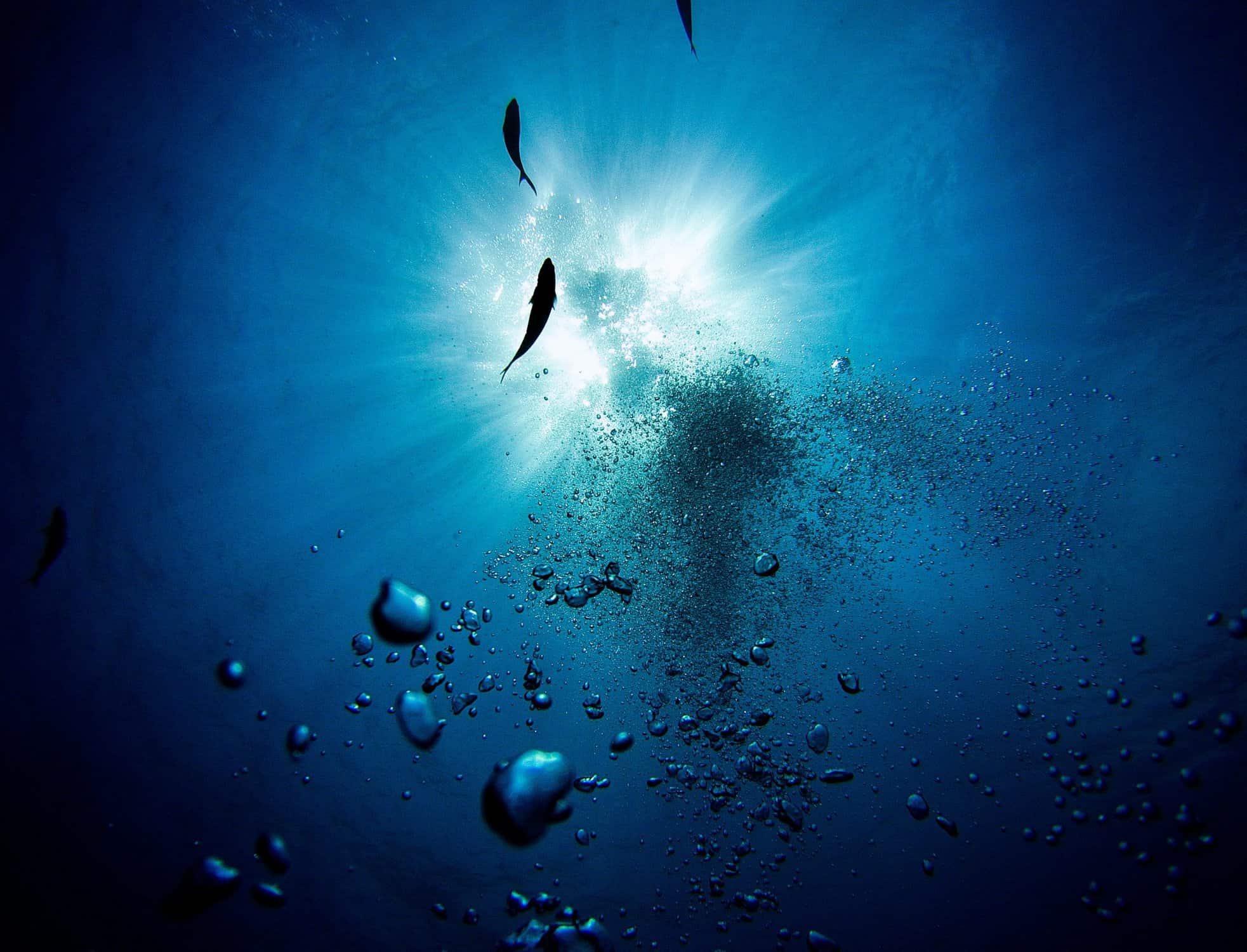 Free Underwater HD Wallpaper