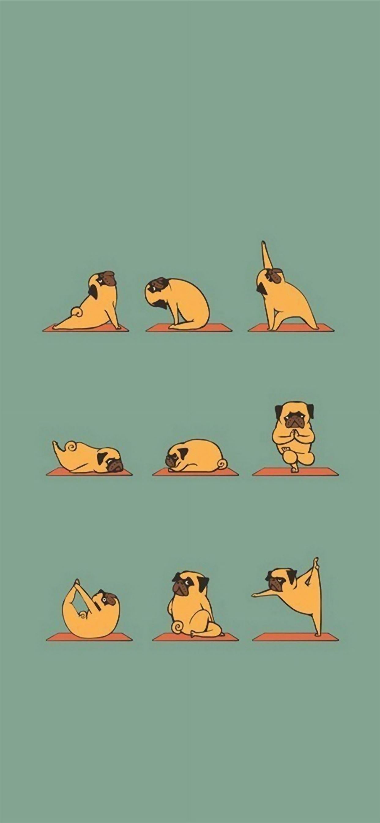 Funny Pug Doing Yoga iPhone Wallpaper