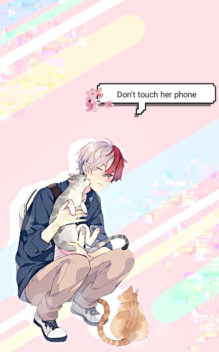 Todoroki Wallpaper't touch her phone