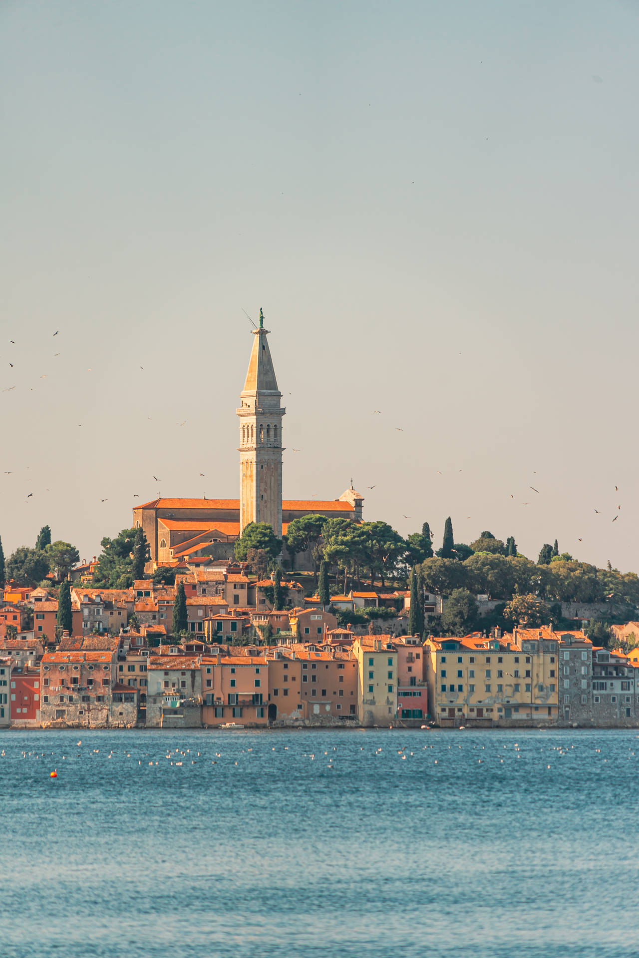 Download free Rovinj Town Croatia Old