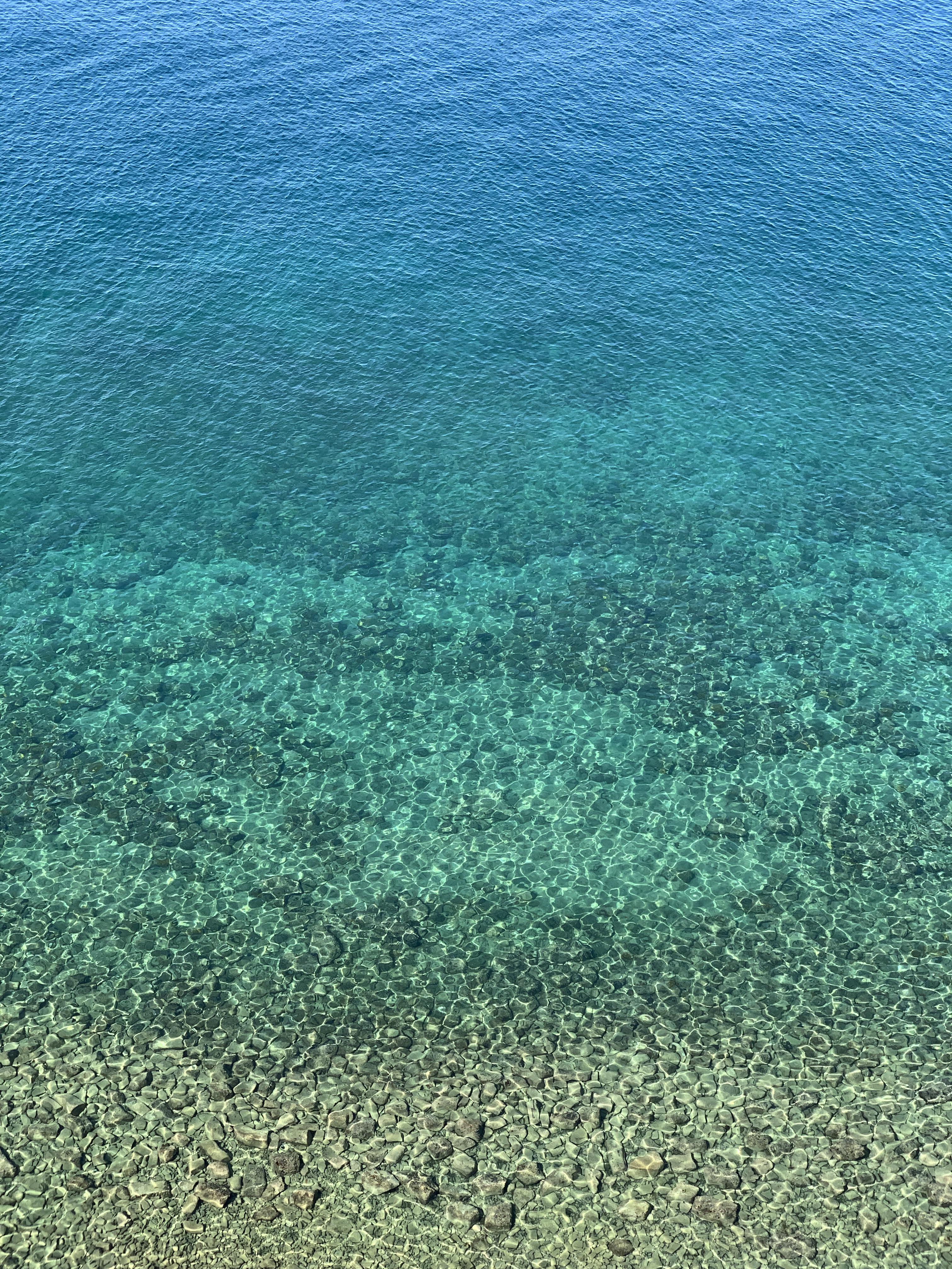 summer wallpaper! Enjoy