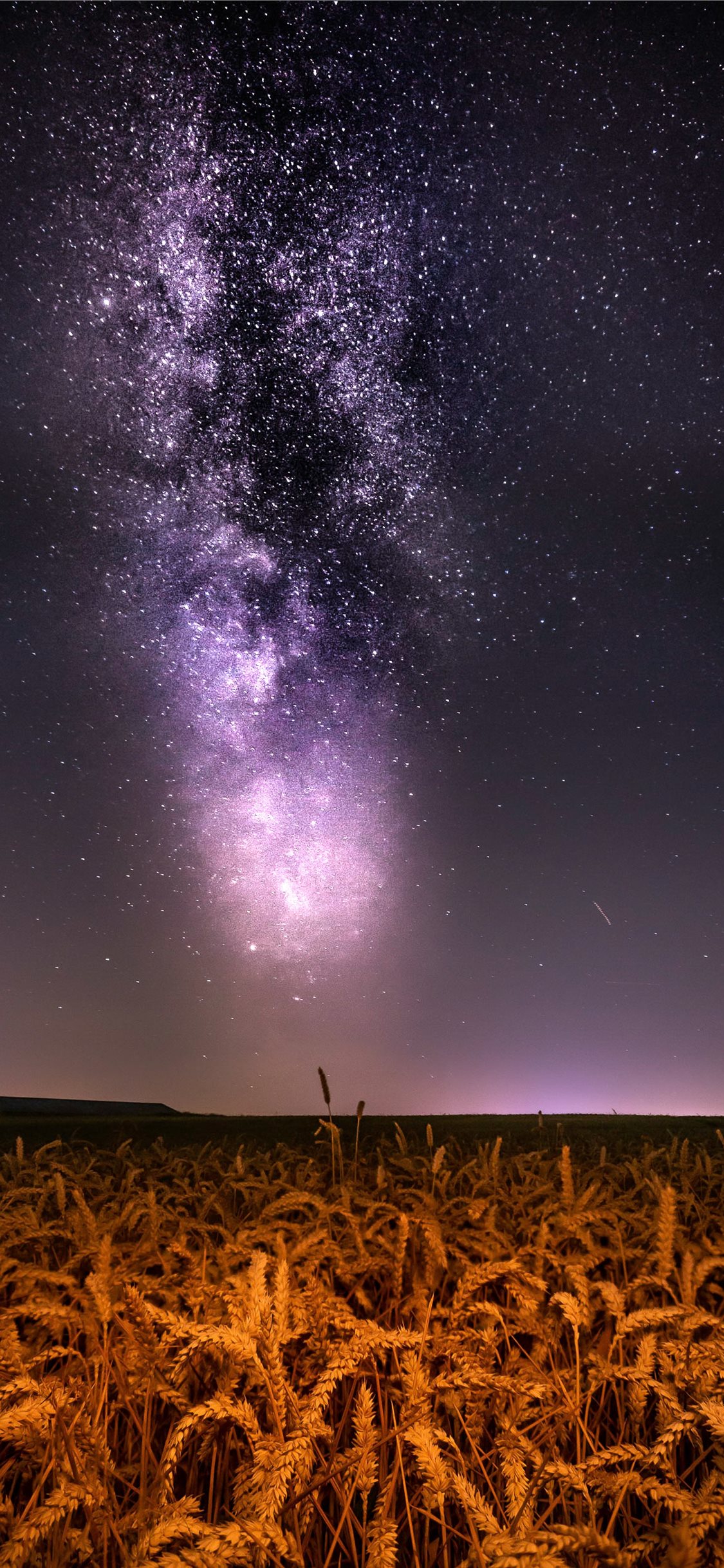 Milkyway over wheat field iPhone X