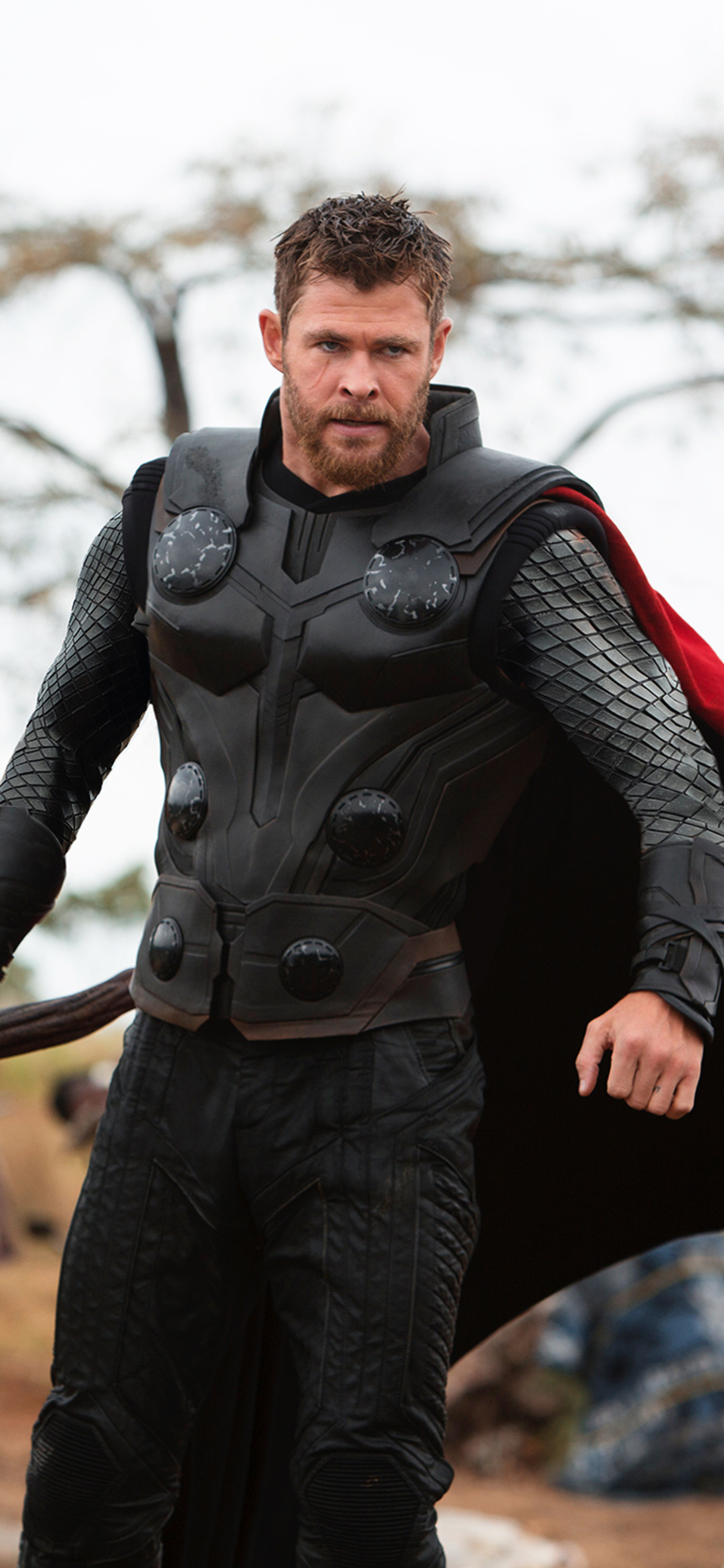 Thor Avengers Infinity War