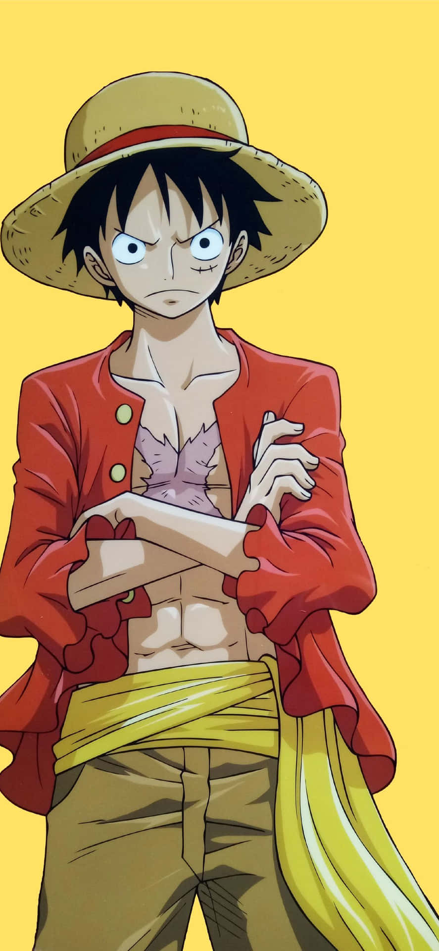 Download Crossed Arms One Piece Luffy