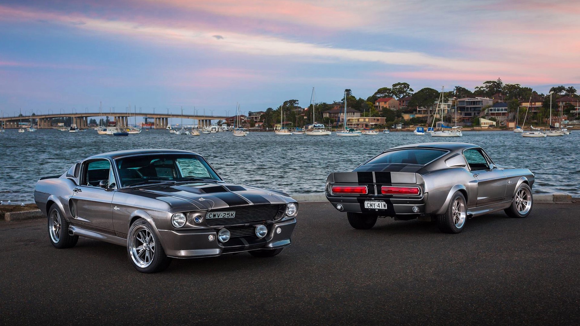 Wallpaper Mustang, Ford, Shelby, GT500