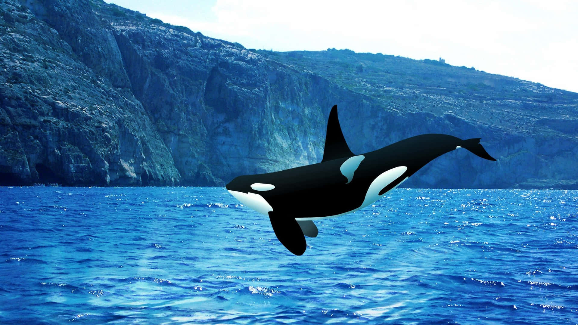 Desktop Orcas Wallpapers - Wallpaper Cave