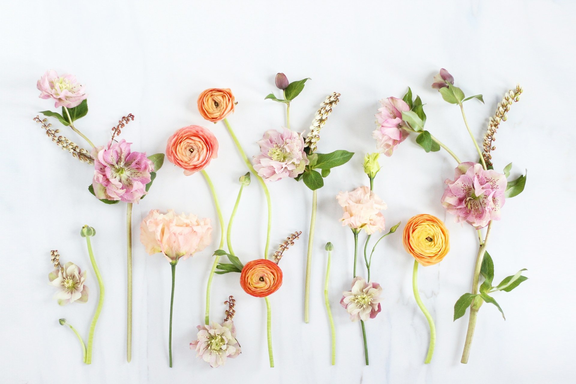 Download Pastel Colors Spring Artistic Flower 4k Ultra HD Wallpaper