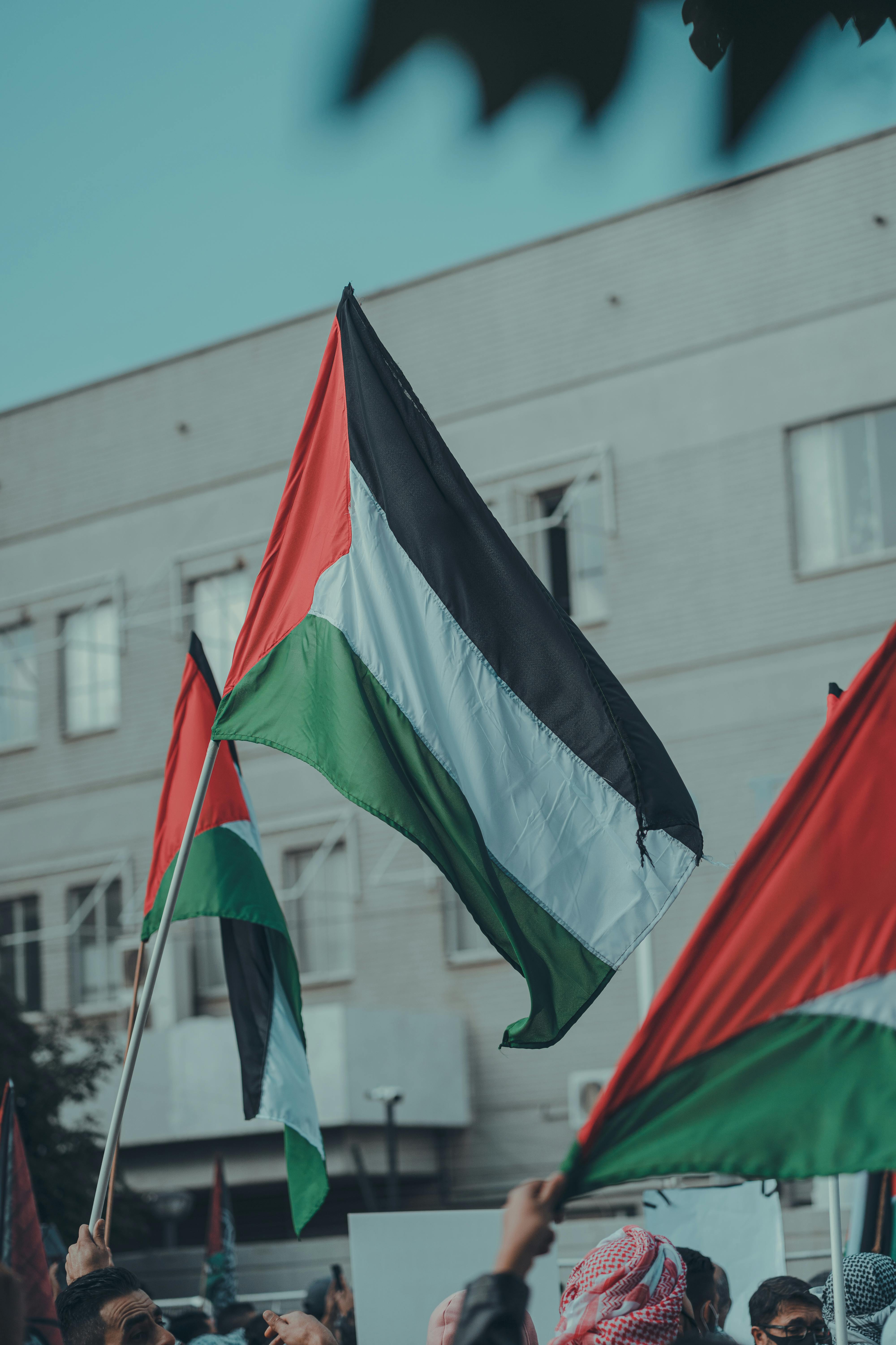 Palestinian Flags Photo, Download