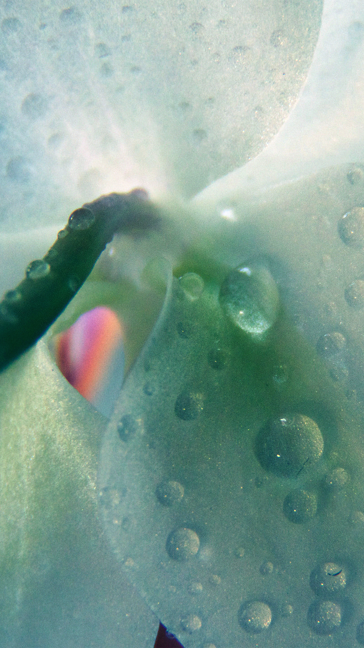 Green Orchid Nature Flower Rain Pattern