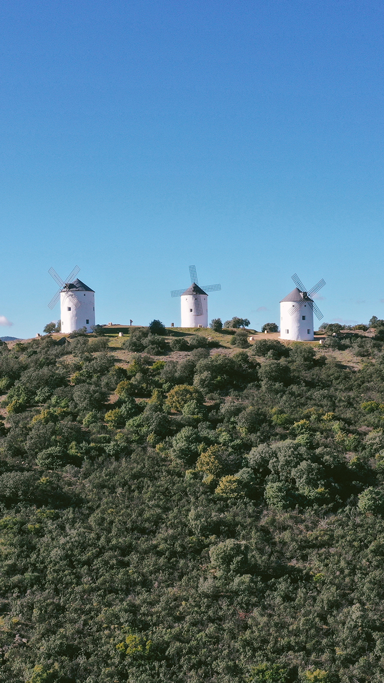 Free Phone Wallpaper