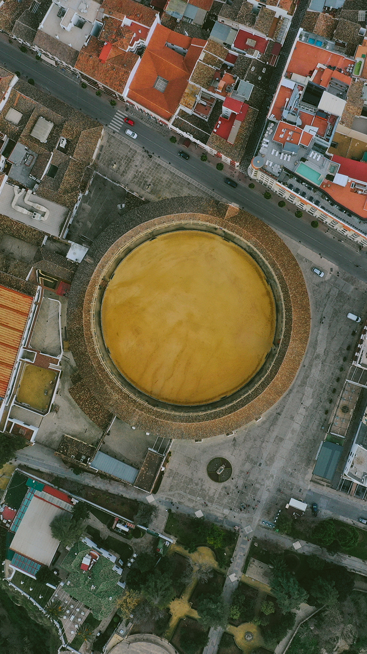 Free Phone Wallpaper