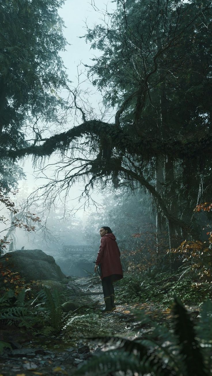 Alan Wake 2 Wallpaper