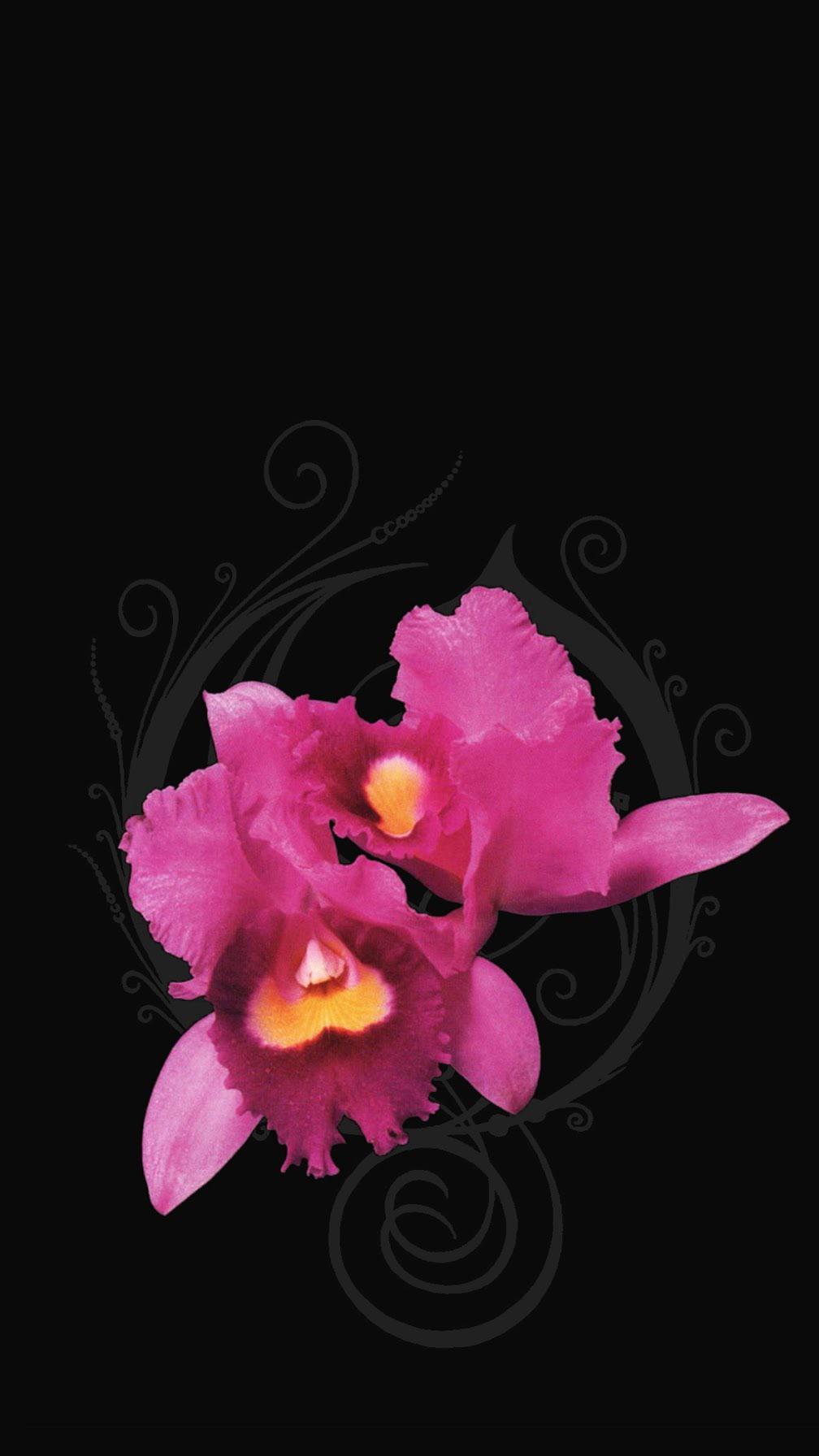 Orchid album cover and Opeth logo