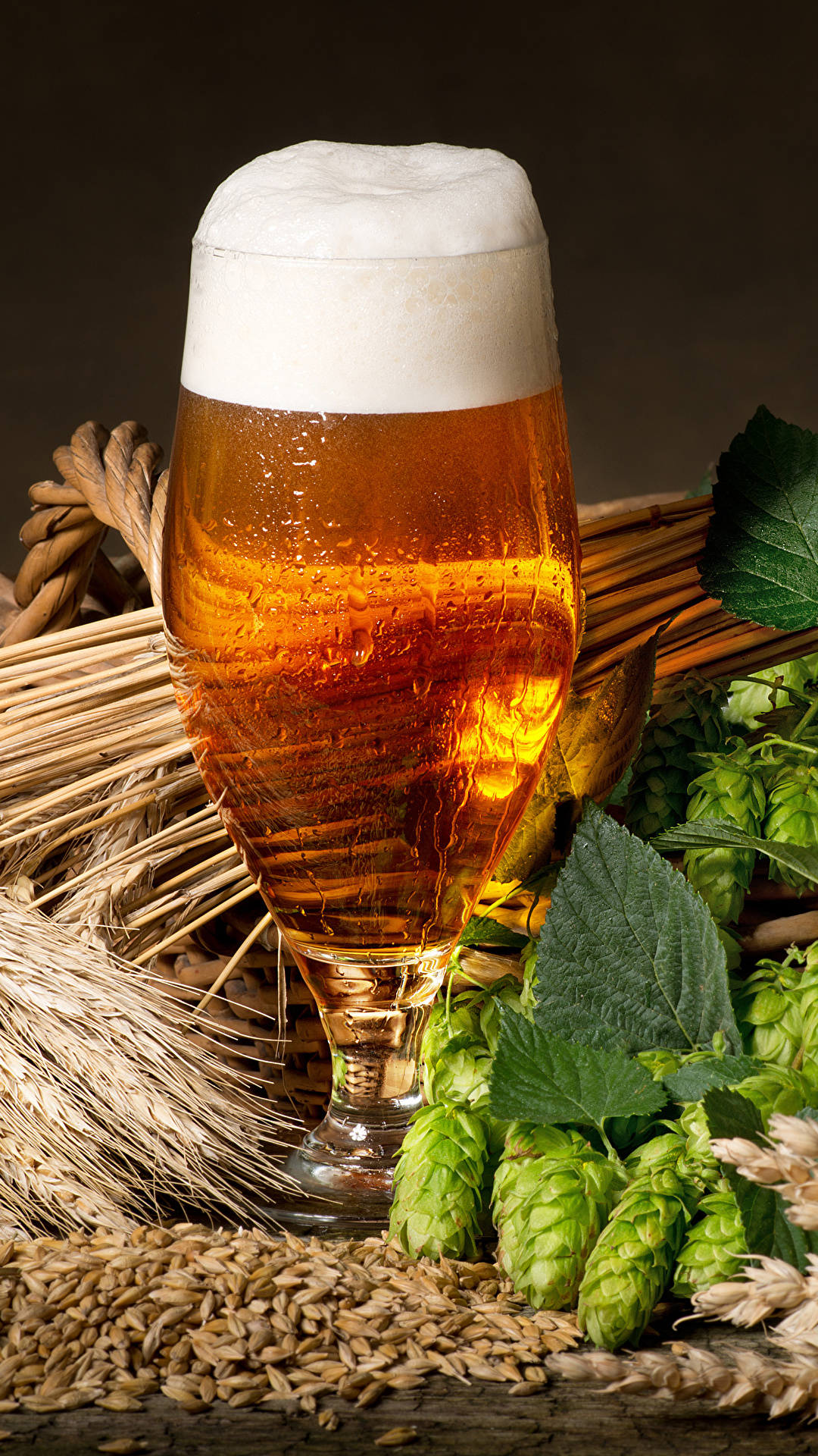 Desktop Wallpaper Foliage Beer Hops