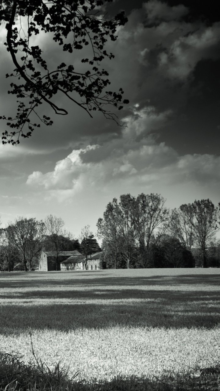 White Phone Wallpaper