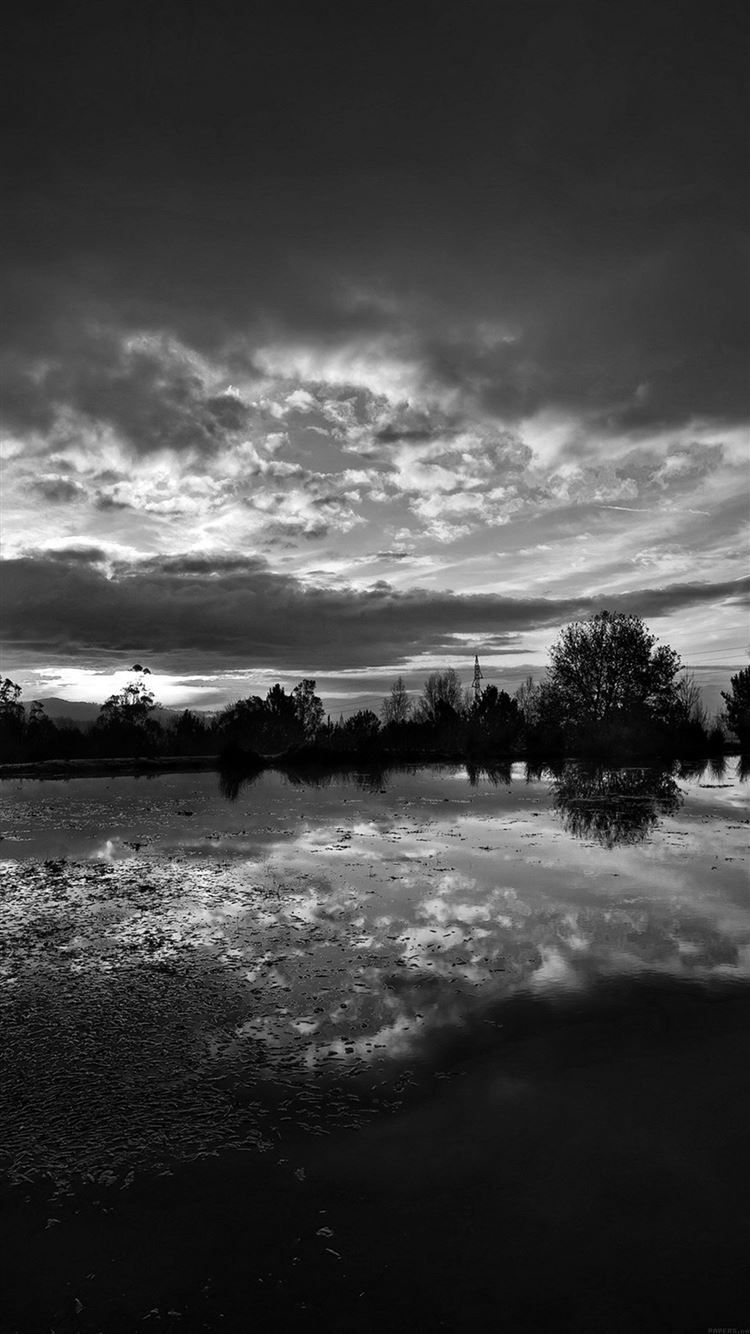 Blue Dark Nature Bw iPhone 8 Wallpaper