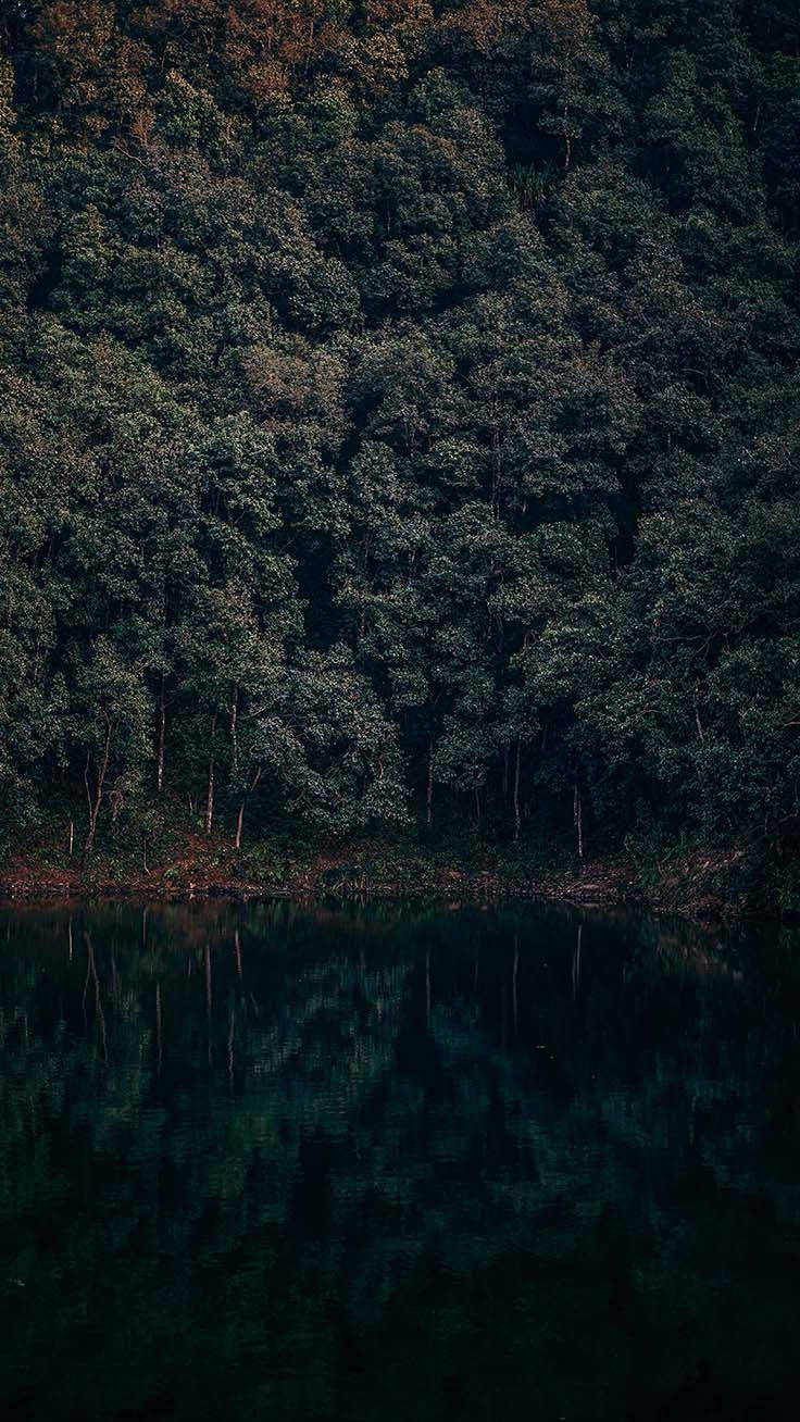 Download free Download iPhone Xr