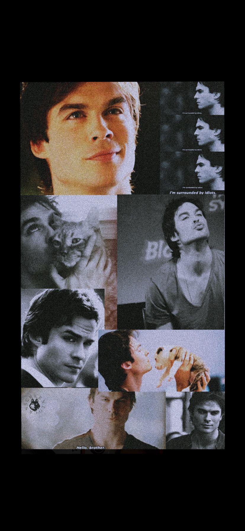 Vampire diaries damon, Damon salvatore