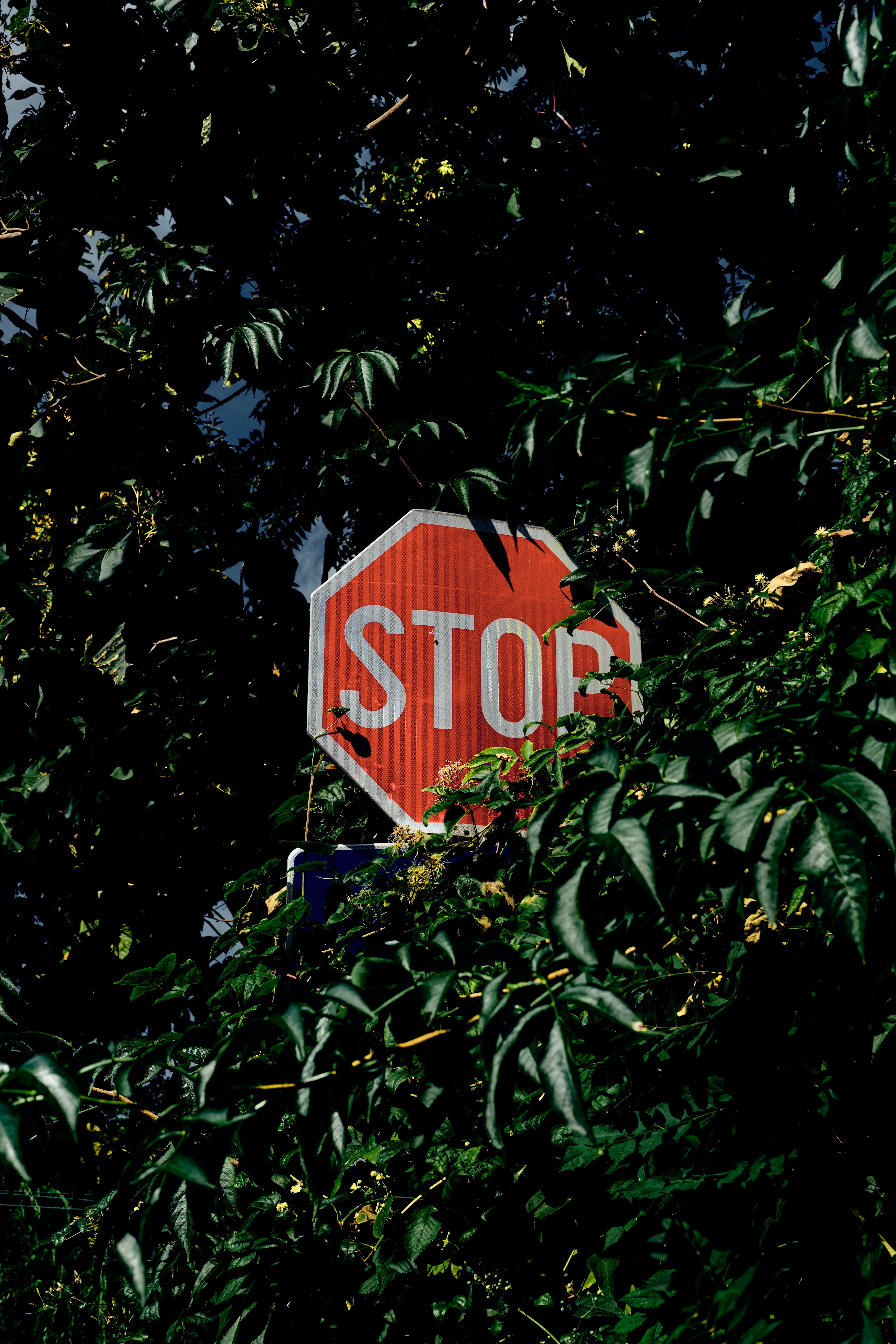 Stop wallpaper for mobile phone